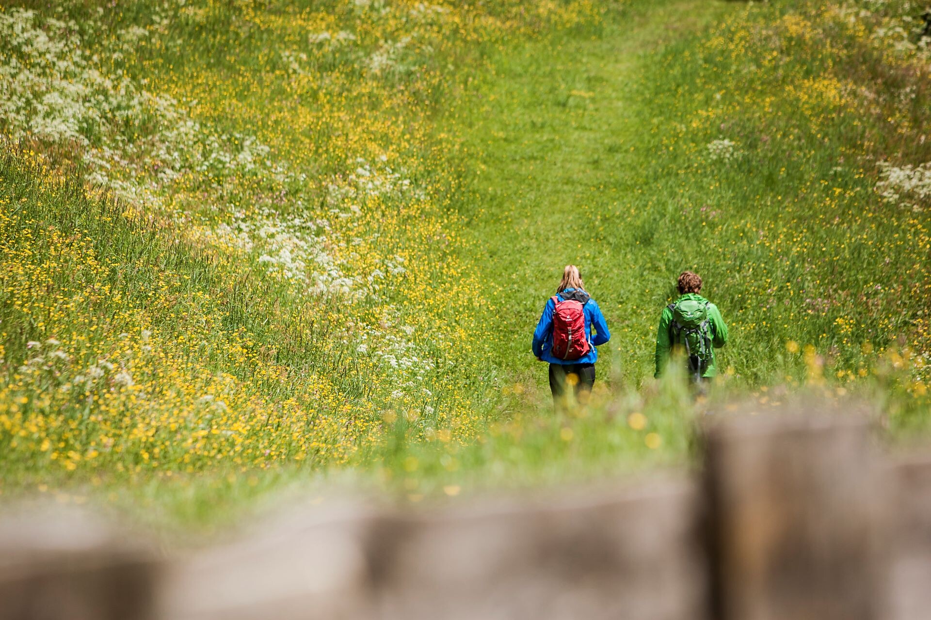 Sentiero della vegetazione Campo Tures 1 suedtirol.info
