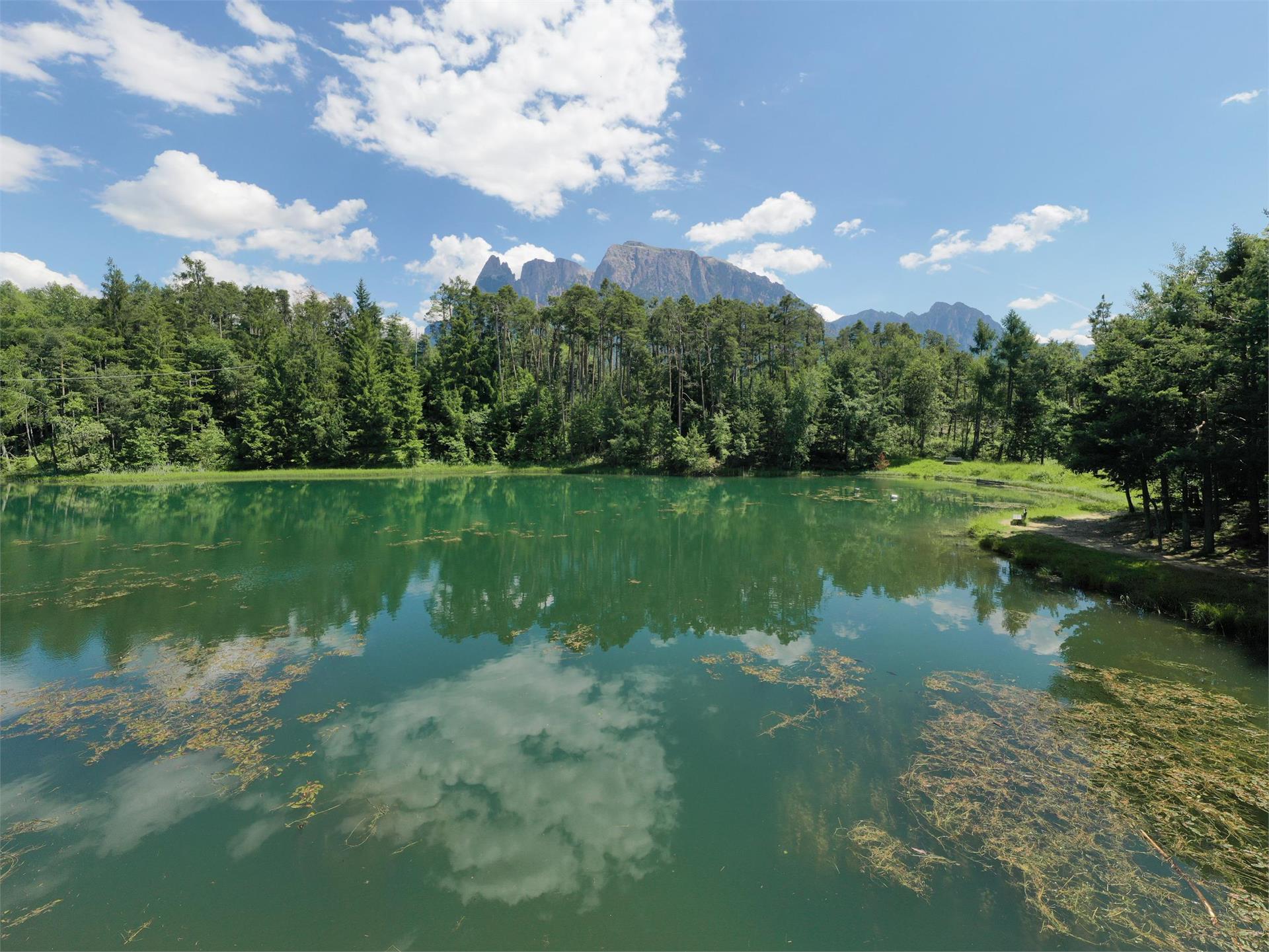 Von Völs zum Konstantiner Weiher Völs am Schlern 2 suedtirol.info