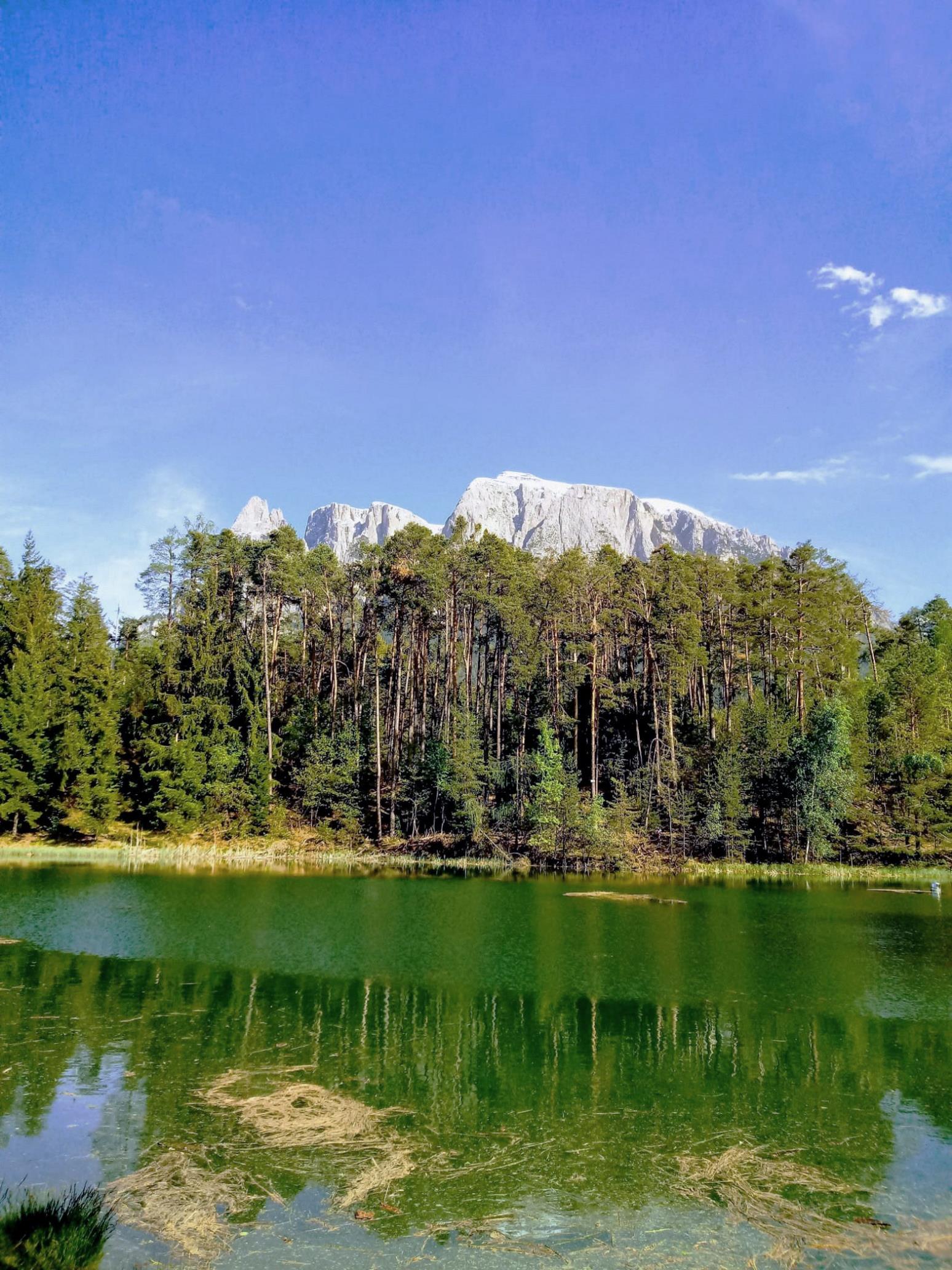 Von Völs zum Konstantiner Weiher Völs am Schlern 4 suedtirol.info