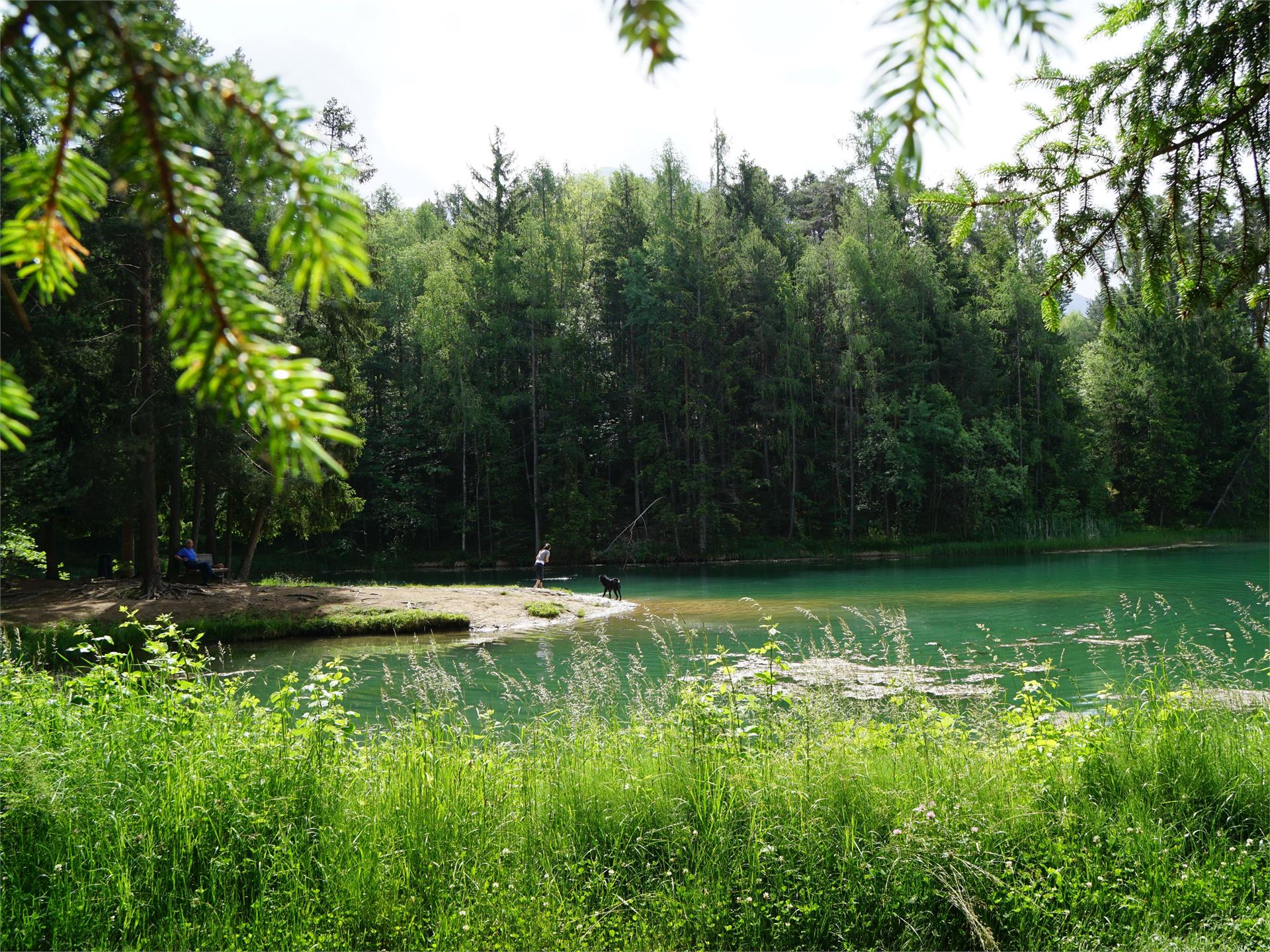 Von Völs zum Konstantiner Weiher Völs am Schlern 5 suedtirol.info