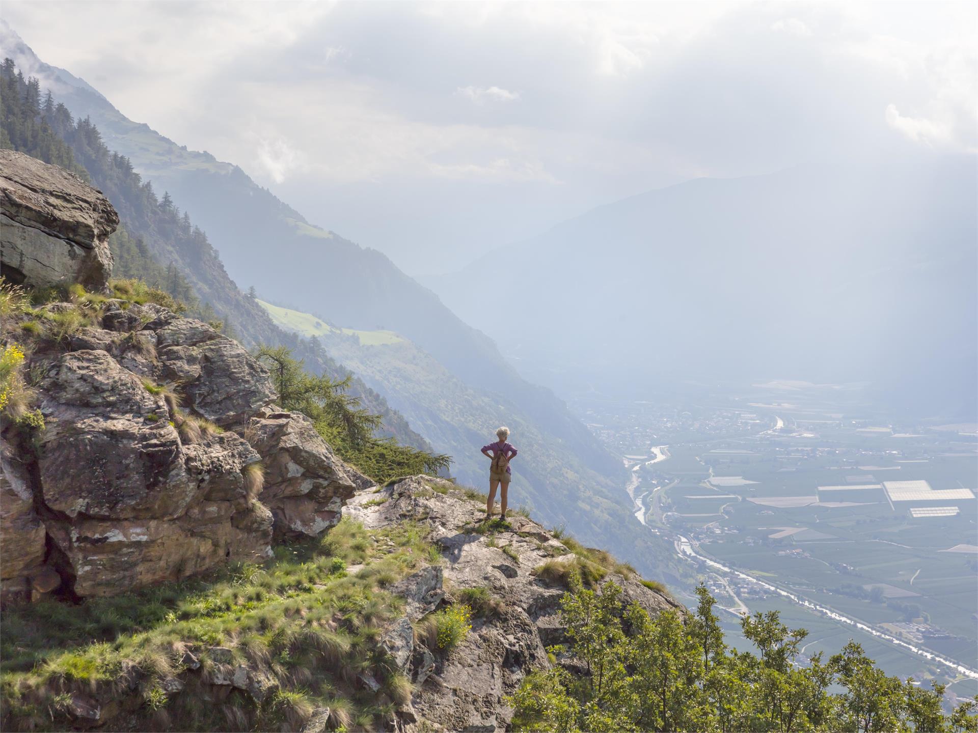 Venosta Valley High Mountain Trail Schlanders/Silandro 1 suedtirol.info