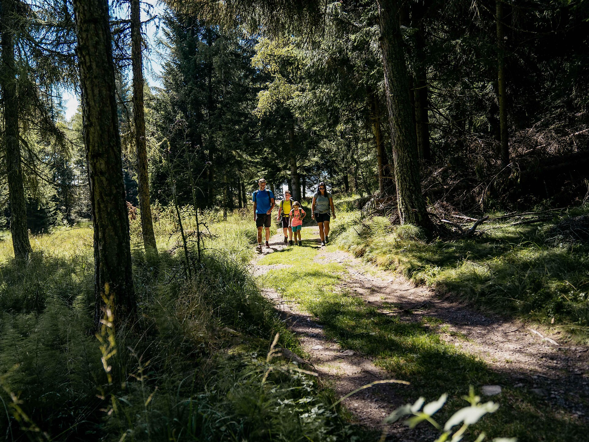 From Truden/Trodena to the Krabes Alm/Malghette -  - #2 - suedtirol.info