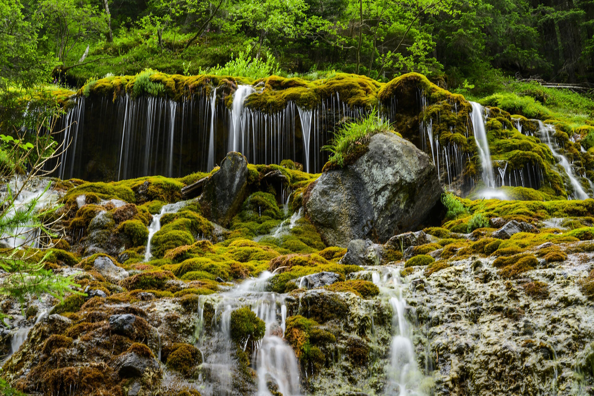 A natural monument