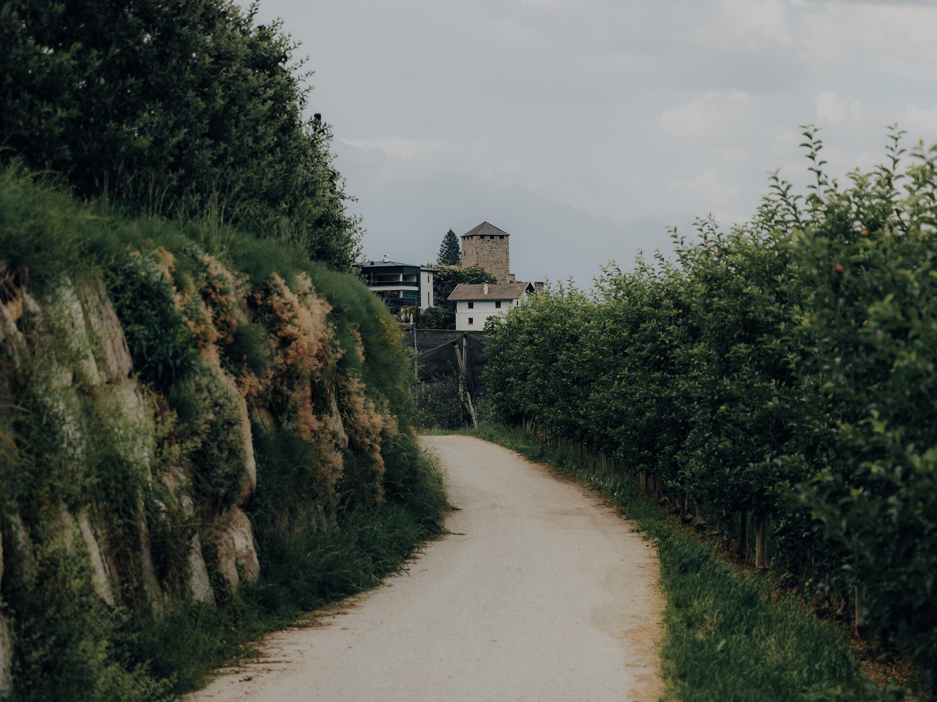 Von Völlan nach St.-Hippolyt  - Meran und Umgebung - #12 - suedtirol.info