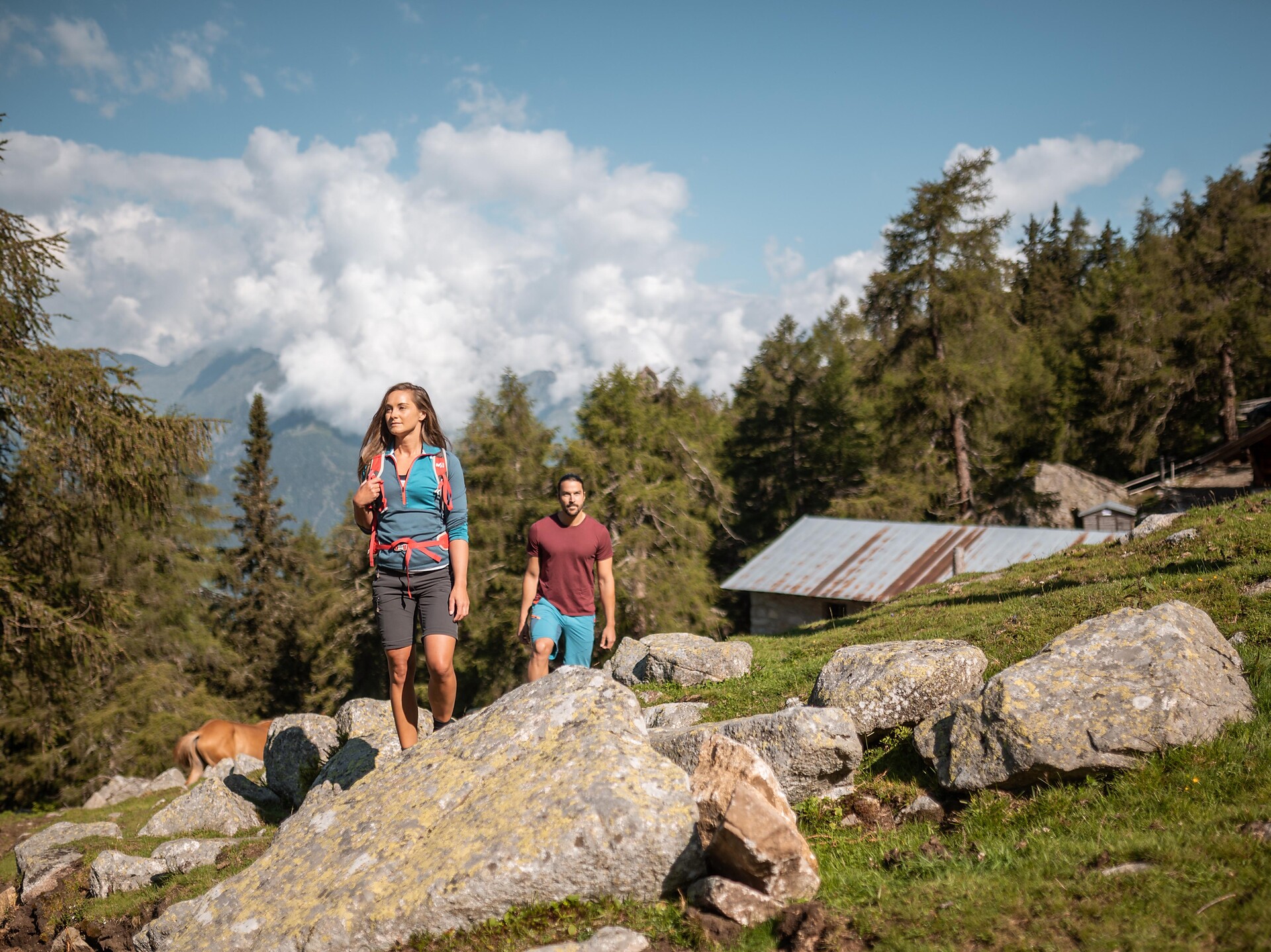 Von der Taseralm auf die Lauwandspitze