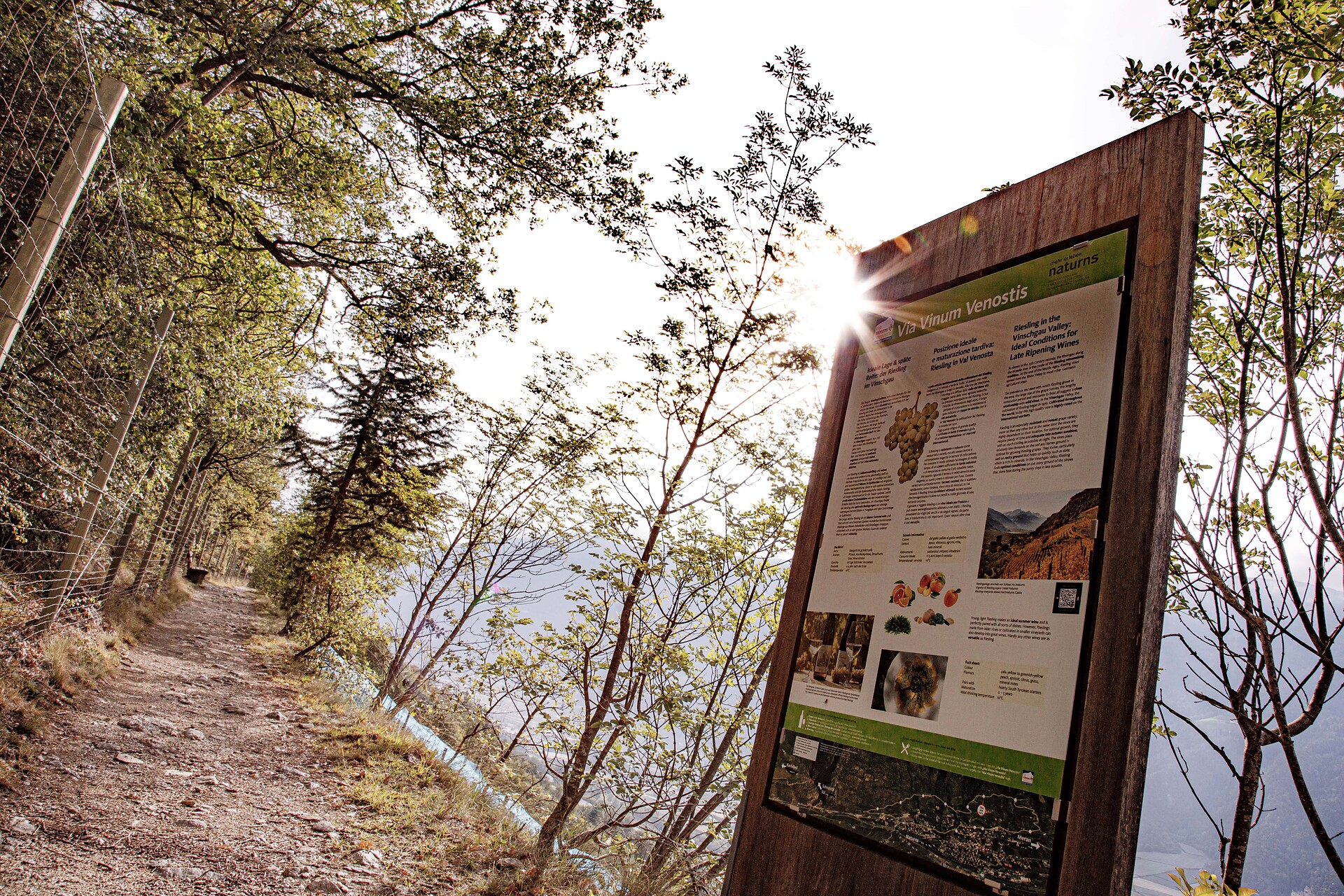 Via Vinum Venostis Naturns 1 suedtirol.info