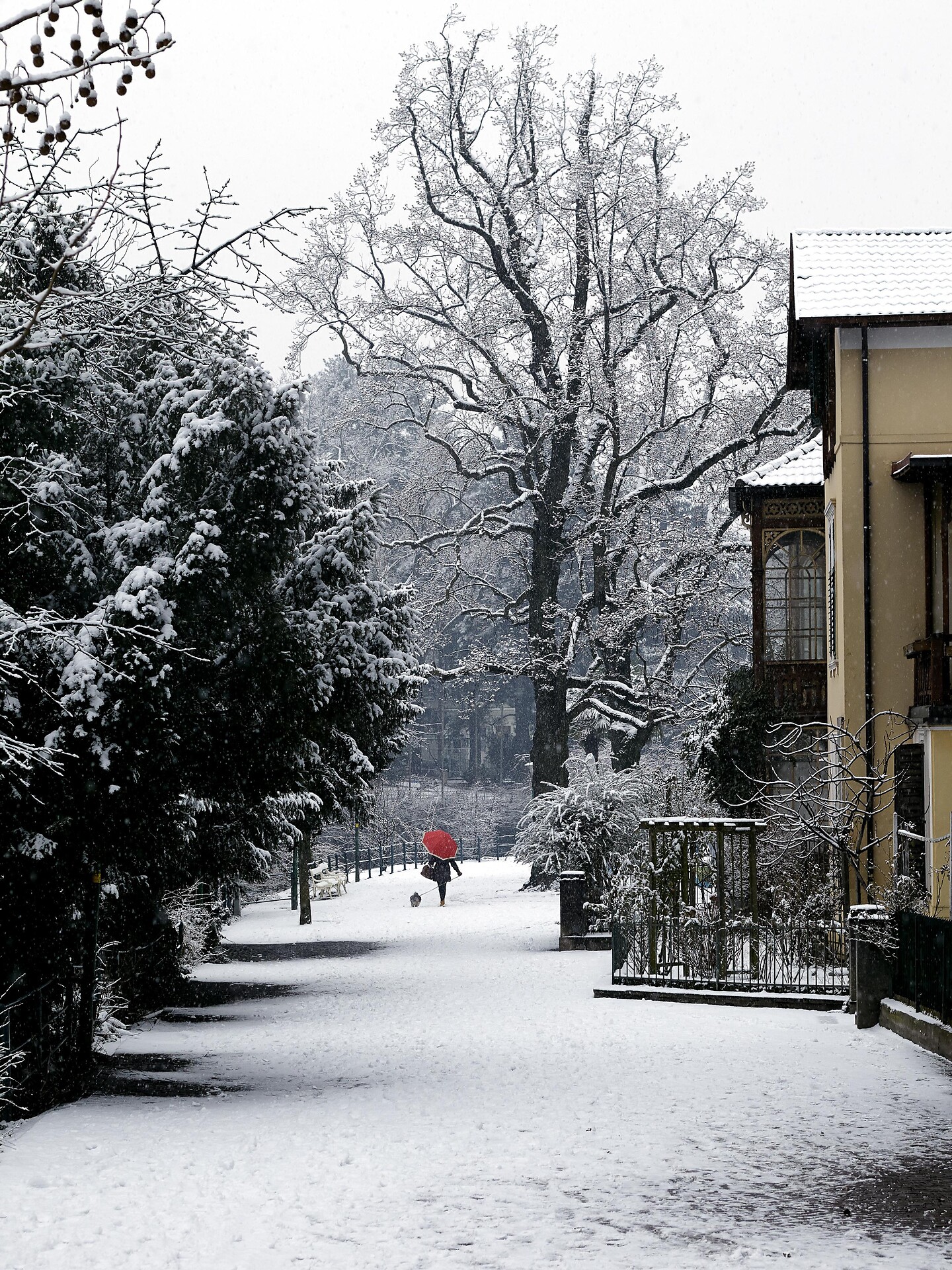 Kurpromenade Meran