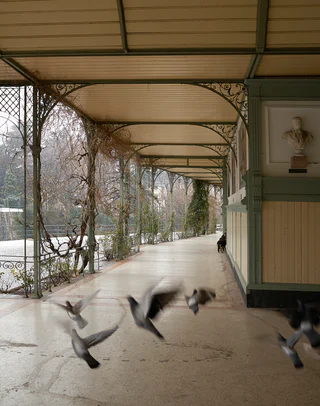 Winterpromenade in Meran