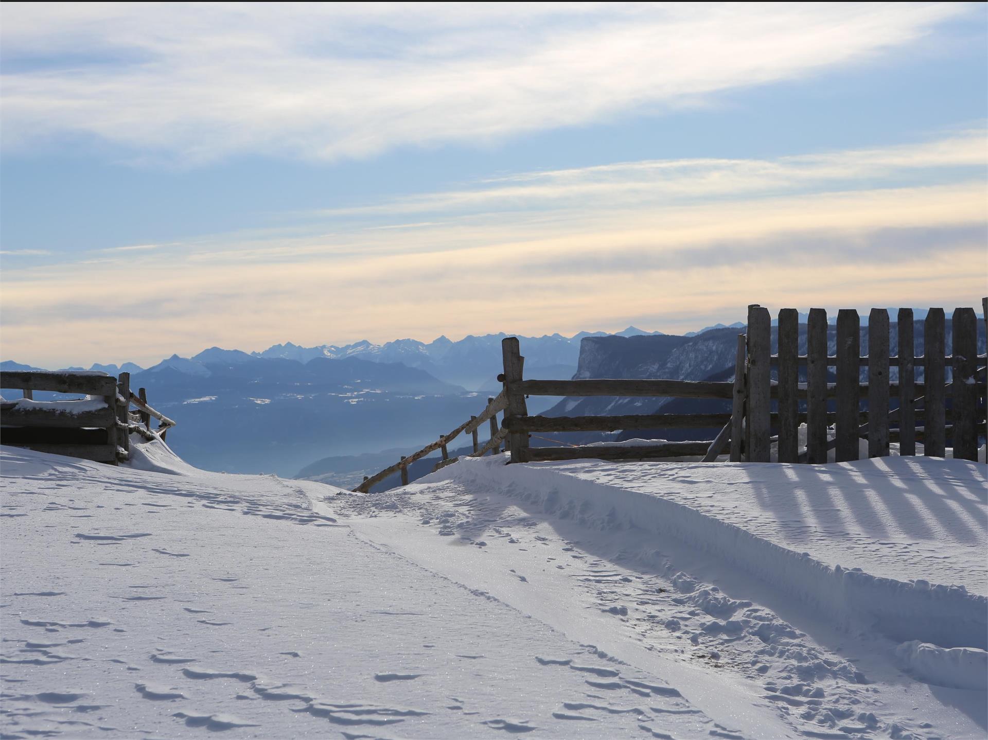 Con le ciaspole sul Monte S. Vigilio Lana 2 suedtirol.info
