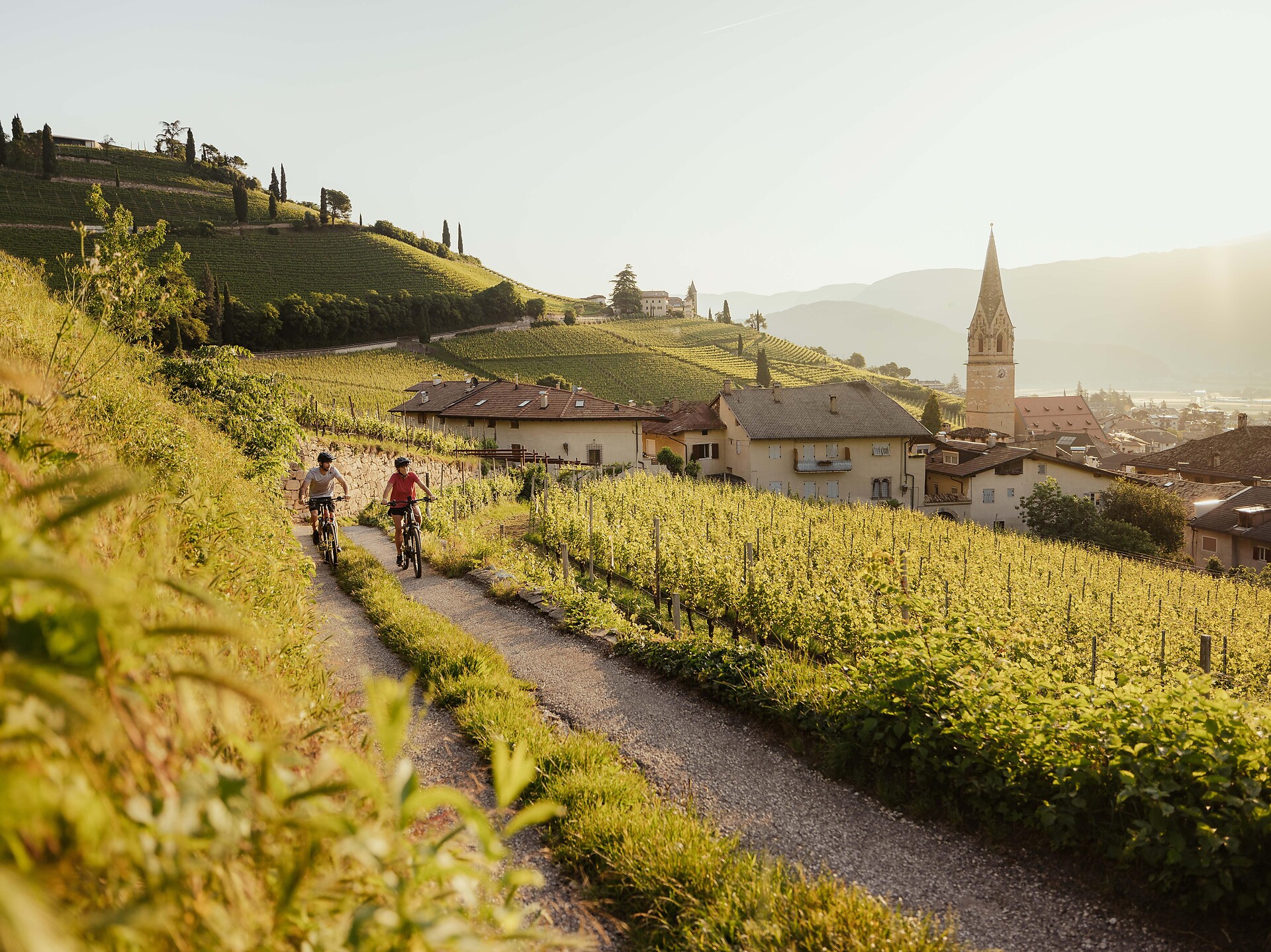 La pista ciclabile dell’Adige: da Marlengo a Caldaro Caldaro sulla Strada del Vino 1 suedtirol.info