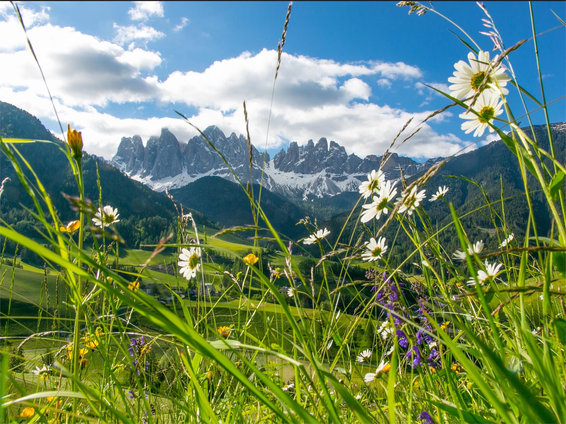 Von St. Magdalena über Halsl zum Würzjoch Villnöss 1 suedtirol.info