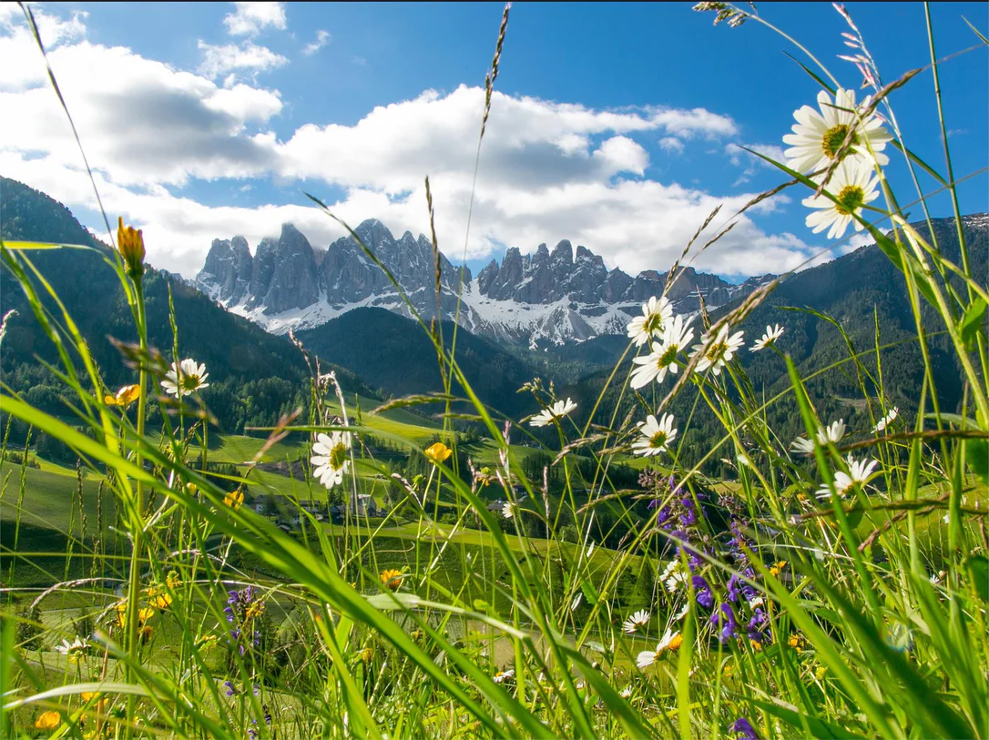 Da S. Maddalena attraverso Halsl al Passo delle Erbe