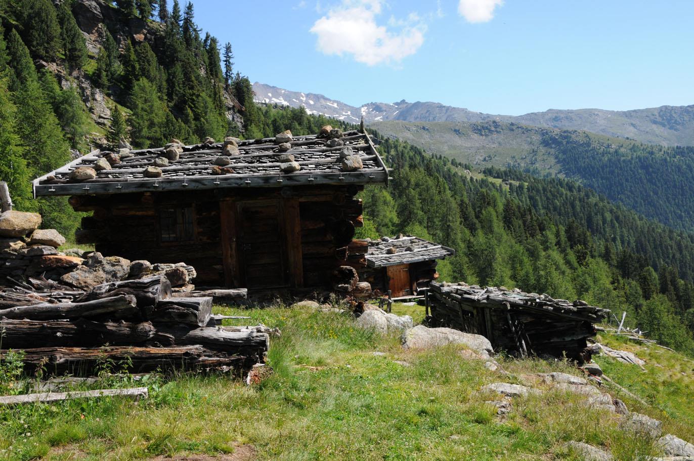 Von der Schwemmalm nach Weißbrunn Ulten 1 suedtirol.info