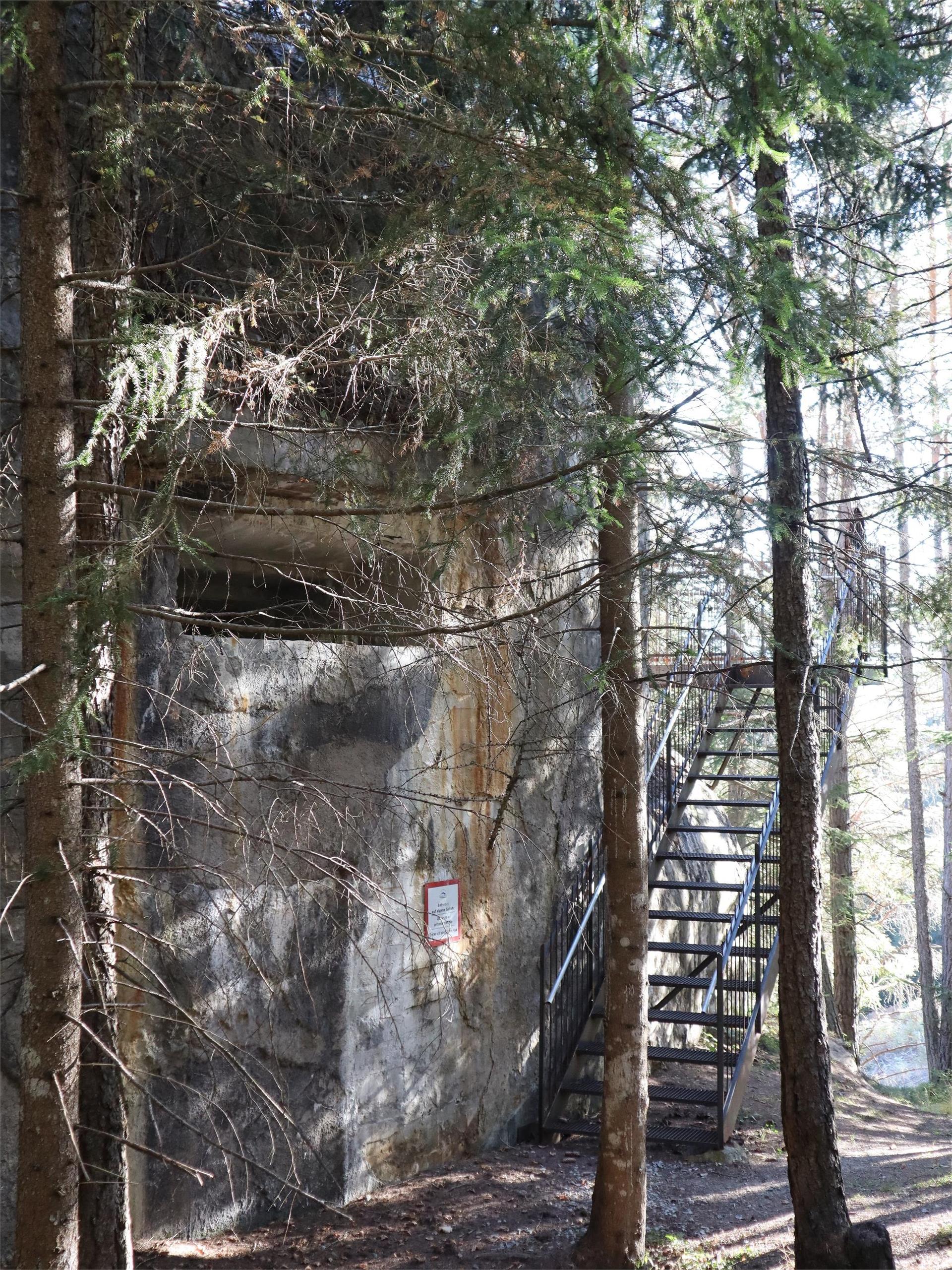 Dalla Malga di Spinga sulla Cima Uomini di pietra Rio di Pusteria 2 suedtirol.info