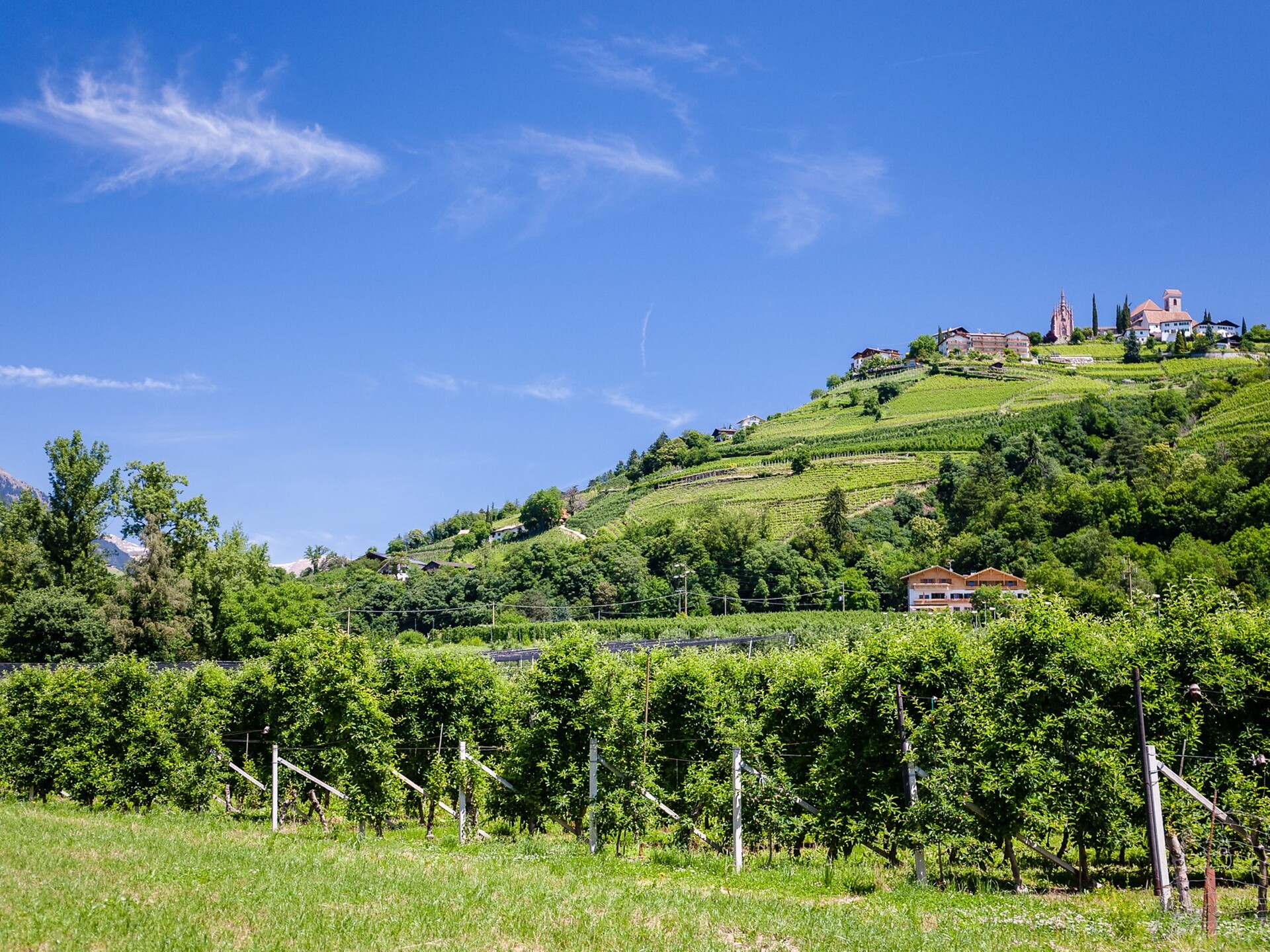 From Schenna to Dorf Tirol