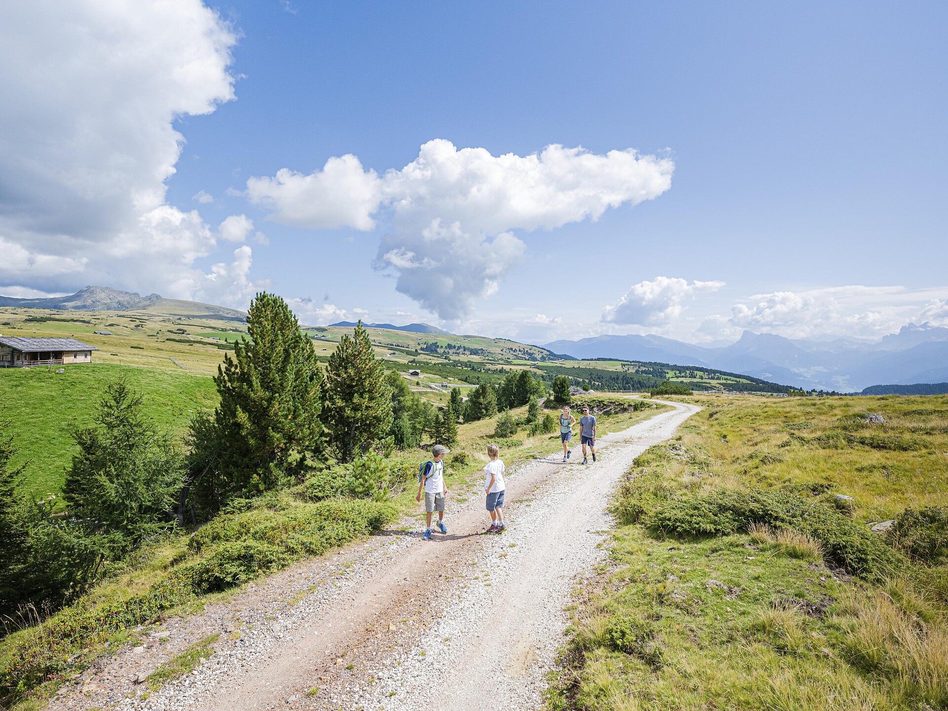 Monte di Villandro/Villanderer Berg - Brixen/Bressanone and environs - #2 - suedtirol.info