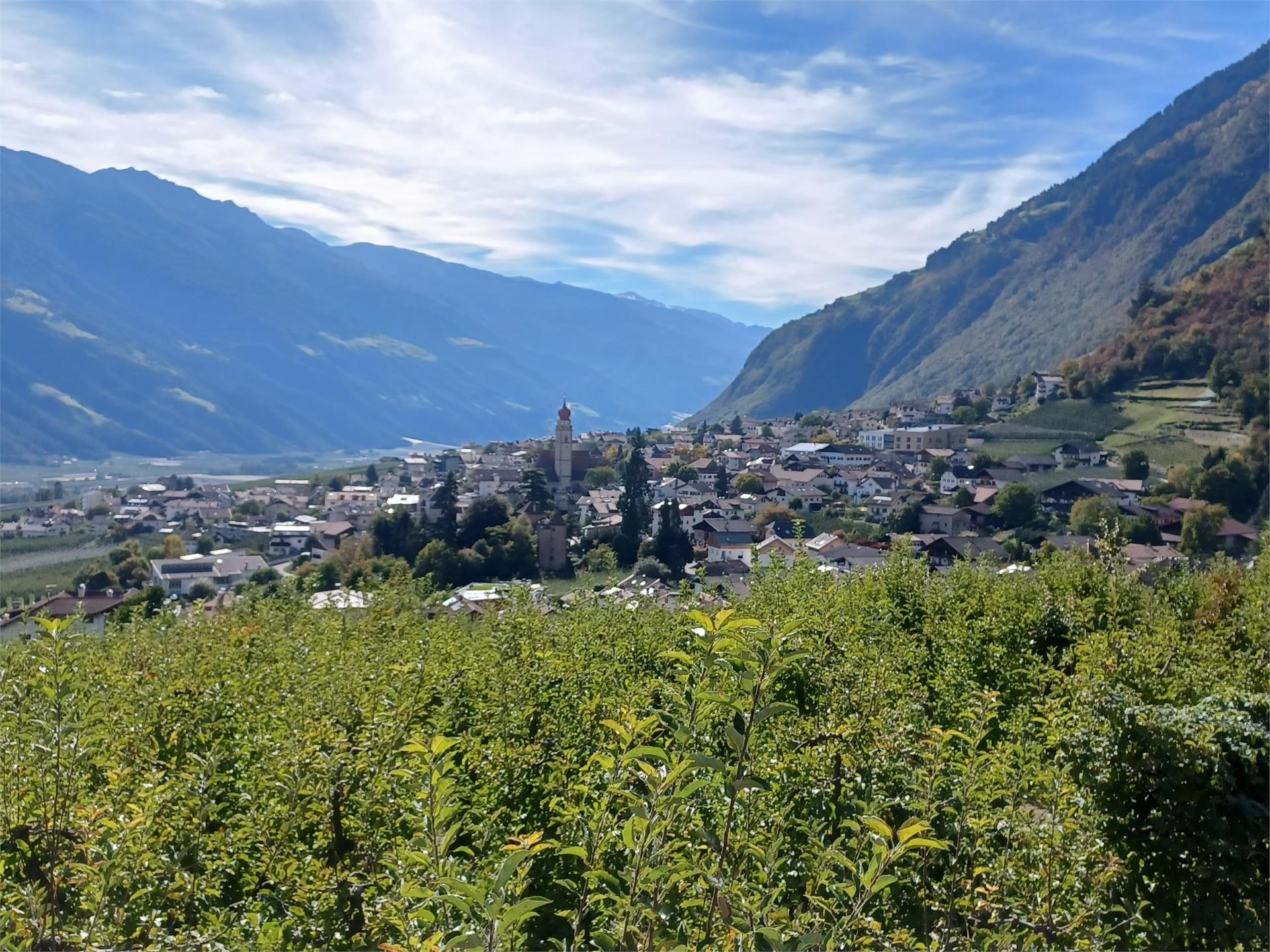 Vertigner Chestnut Round Trip Partschins/Parcines 1 suedtirol.info