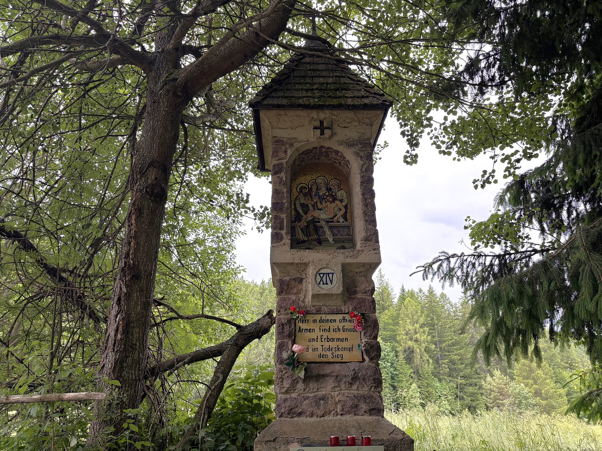 Da Laives al Santuario Madonna di Pietralba - Bolzano e dintorni - #3 - suedtirol.info
