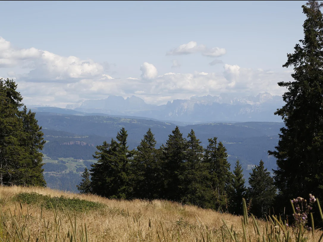 Monte S. Vigilio/Vigiljoch to Colle Scabro/Rauher Bühel