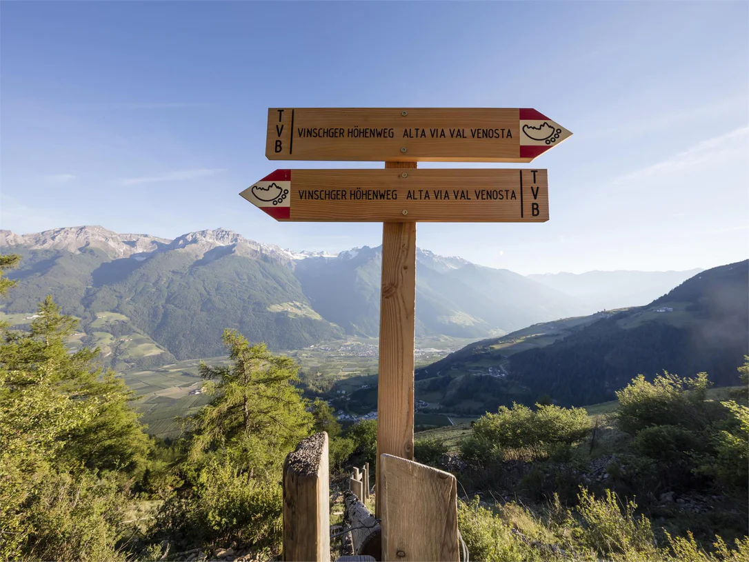 Venosta Valley High Mountain Trail, Stage 2: From Planol to the Glieshöfe farms