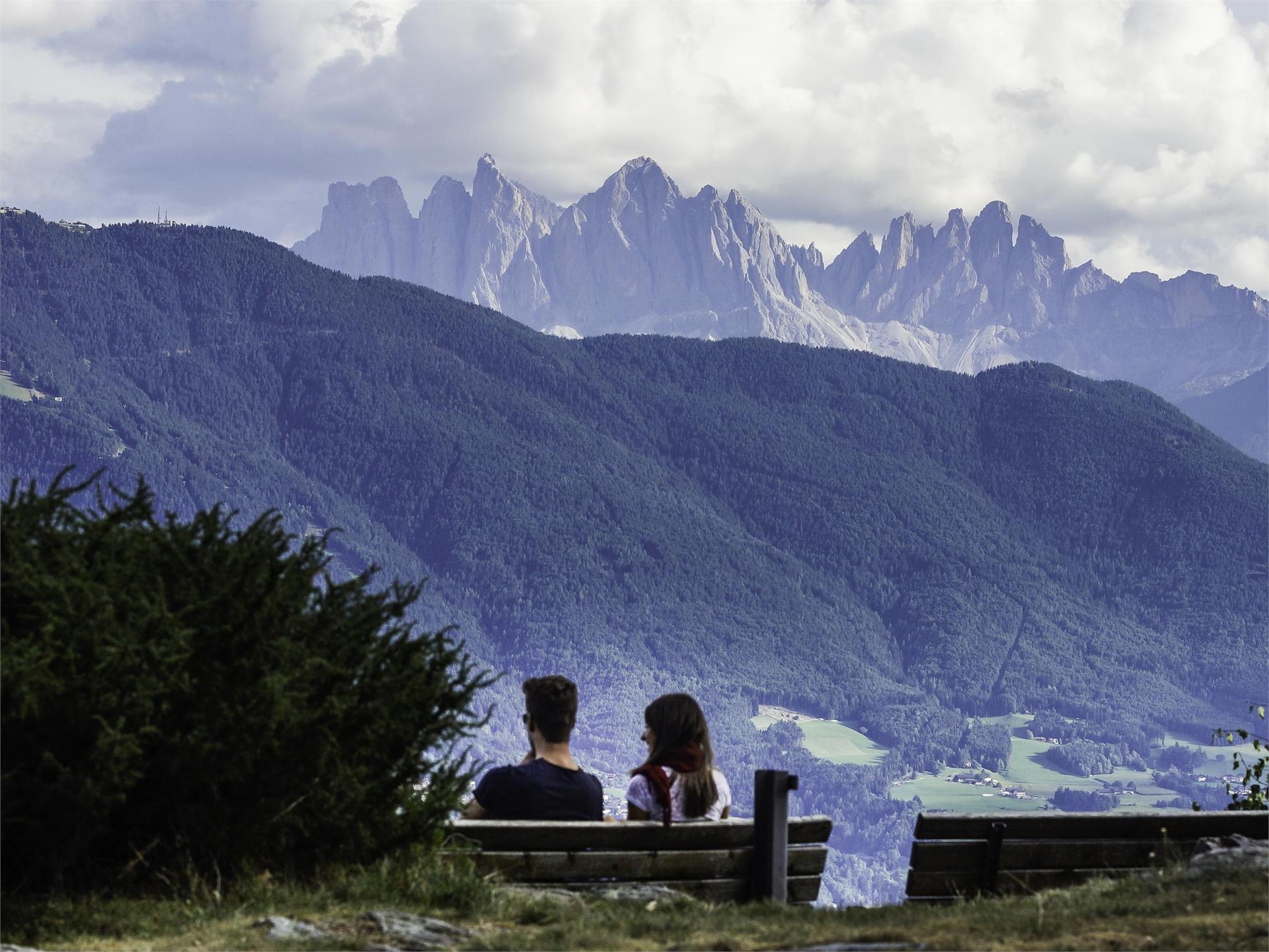 From Spiluck to the Scheibenberg Mountain - Zirmait to Spiluck Vahrn/Varna 1 suedtirol.info