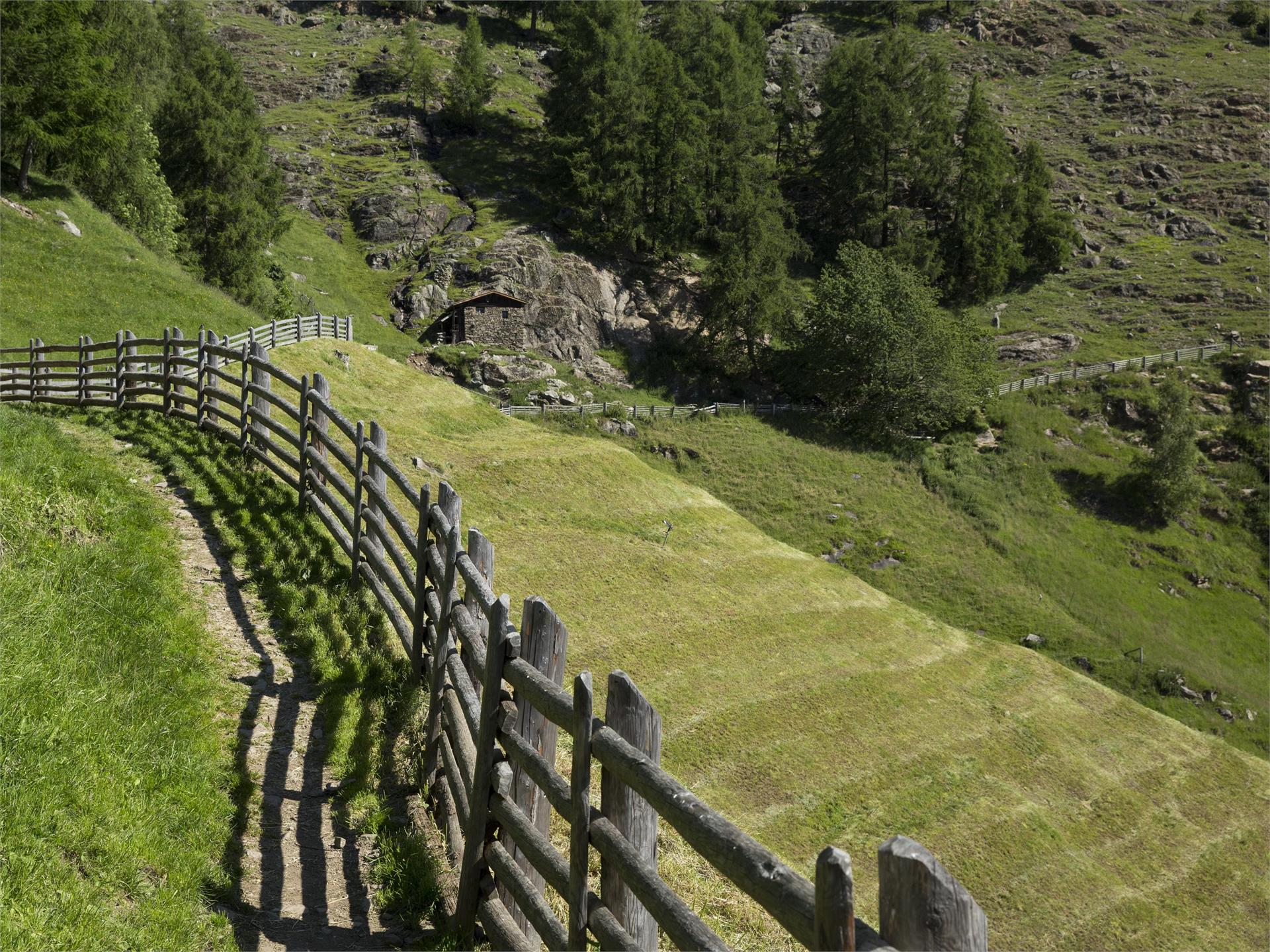 Von Naturns zum Partschinser Wasserfall Partschins 3 suedtirol.info