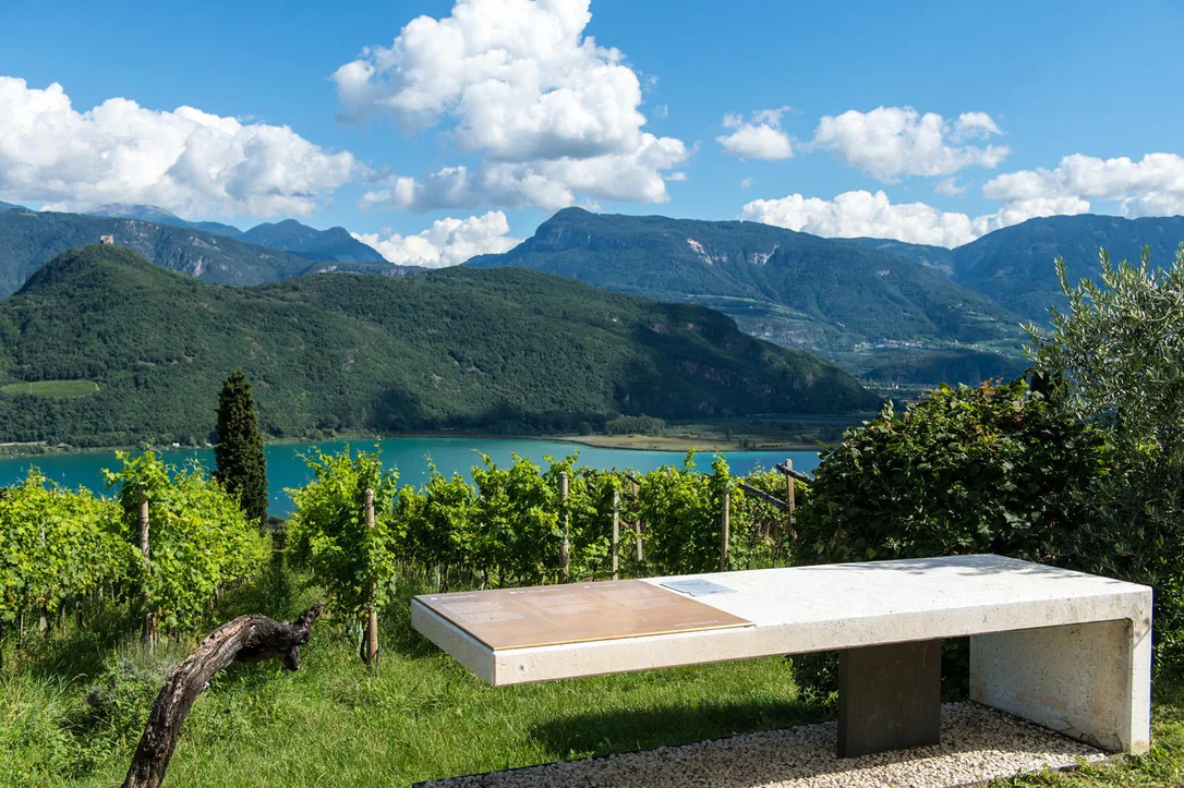 Sentiero del vino a Caldaro