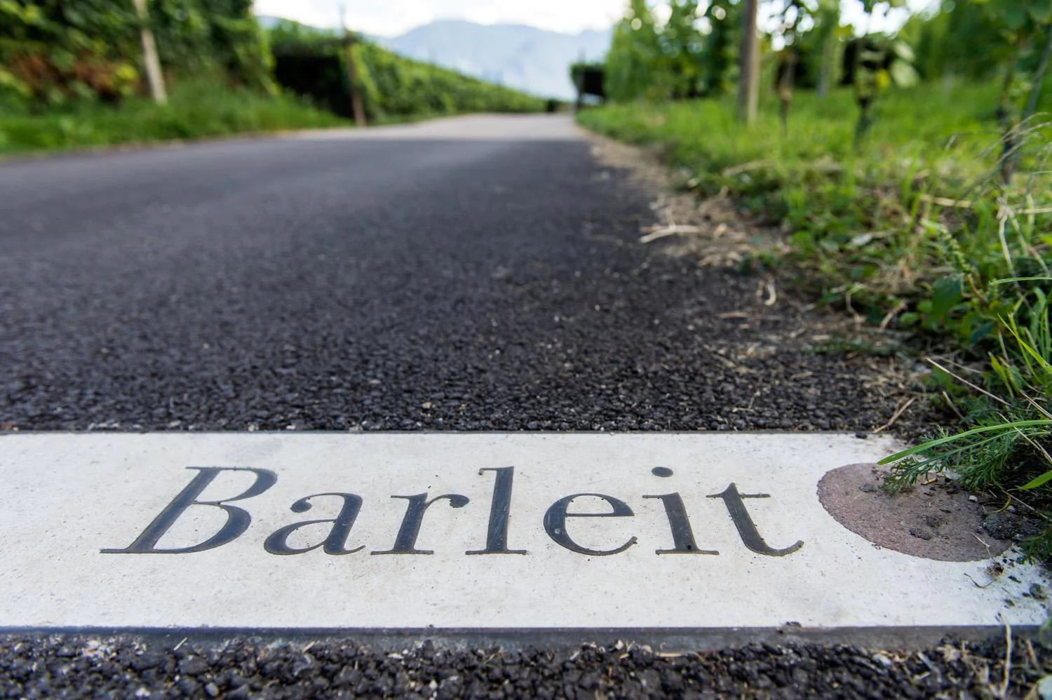 Sentiero del vino a Caldaro Caldaro sulla Strada del Vino 3 suedtirol.info