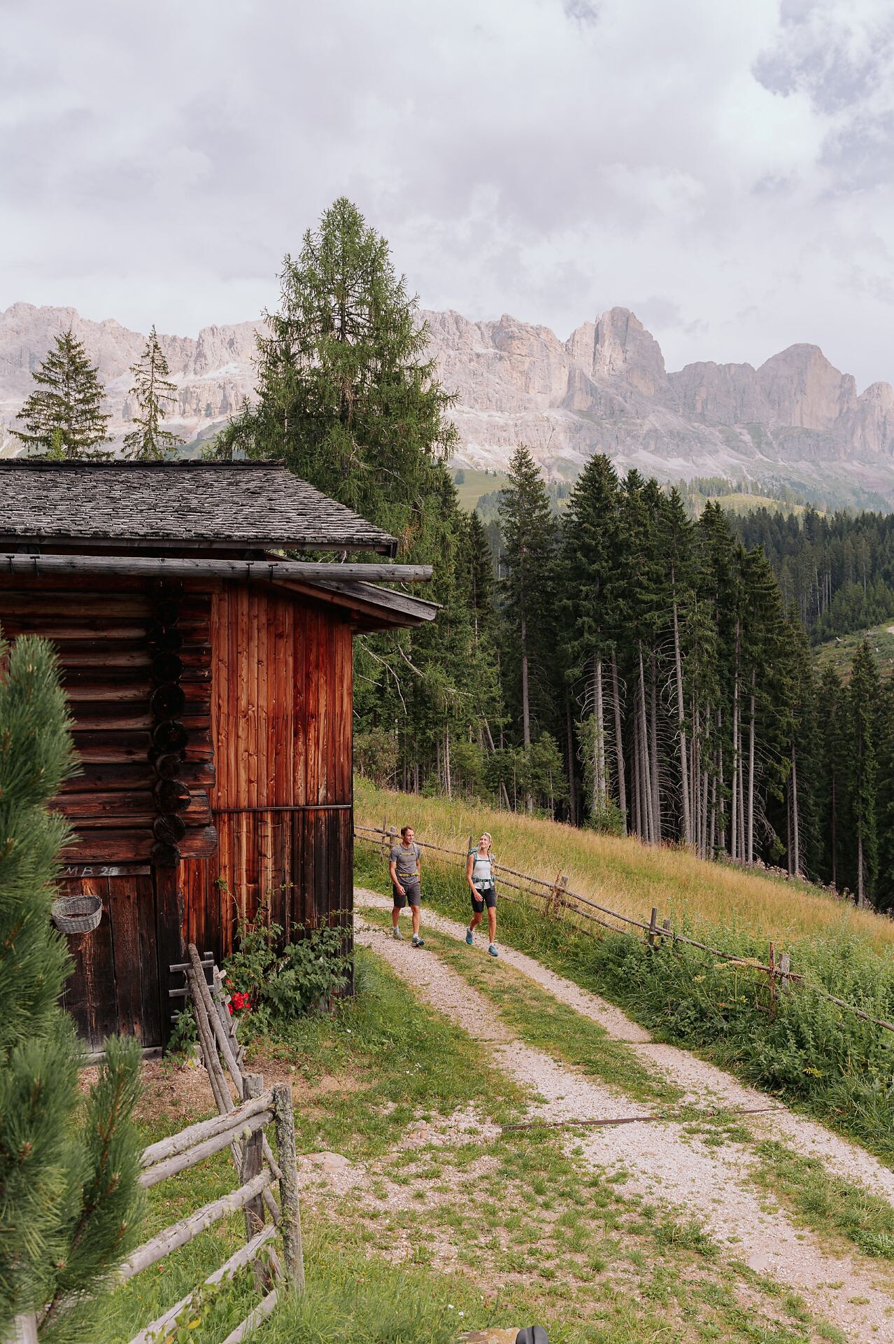 Von Welschnofen zur Almhütte Messnerjoch  - Dolomitenregion Eggental - #3 - suedtirol.info