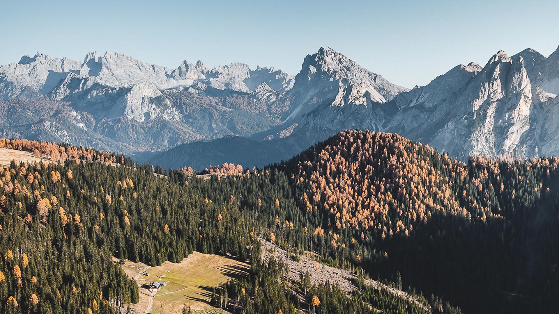 Brunst hut