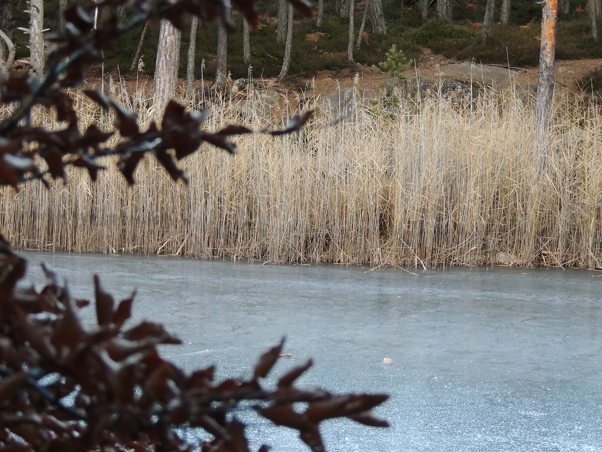 The iced lake Göller
