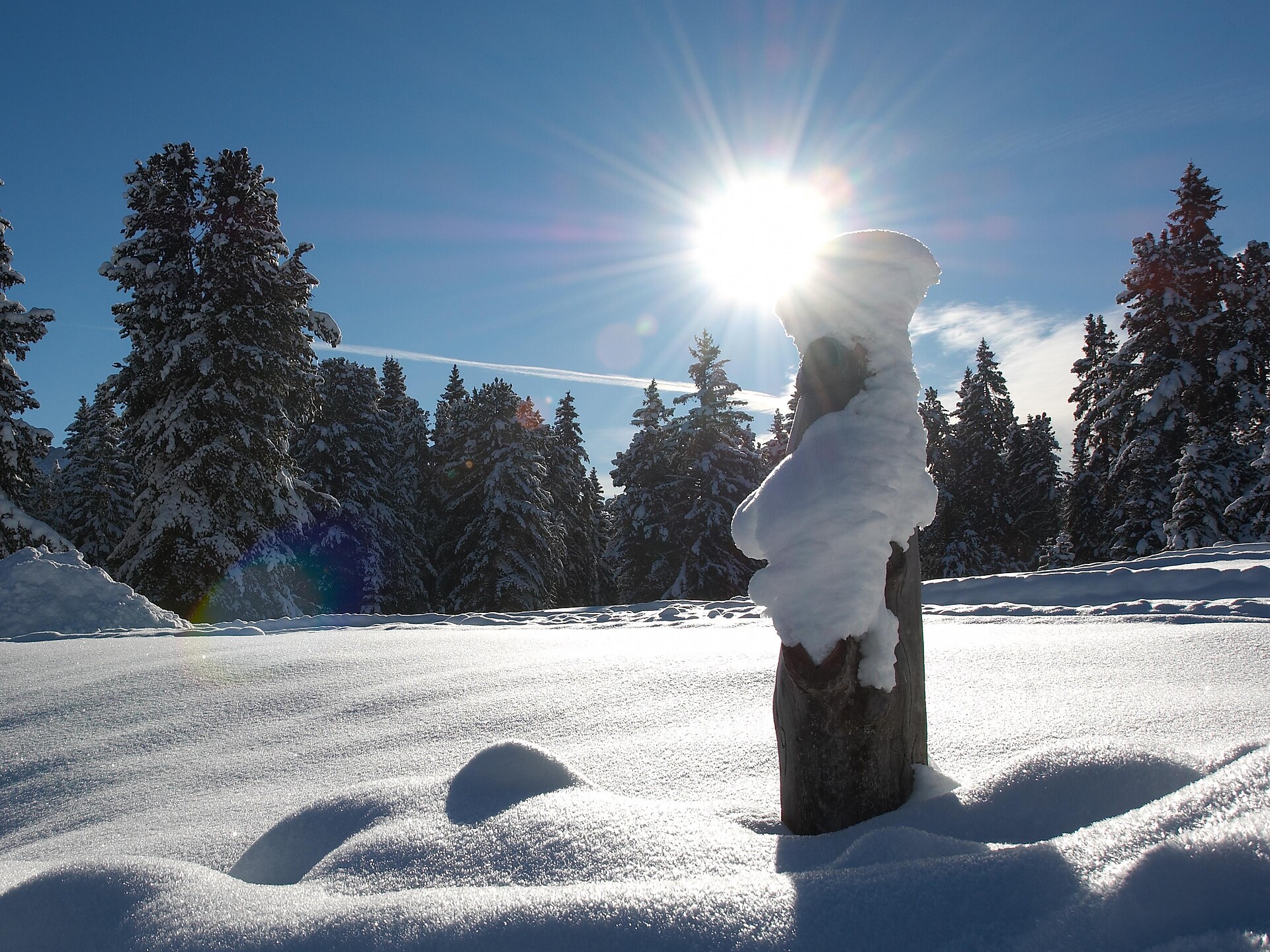 Winter at Aldino