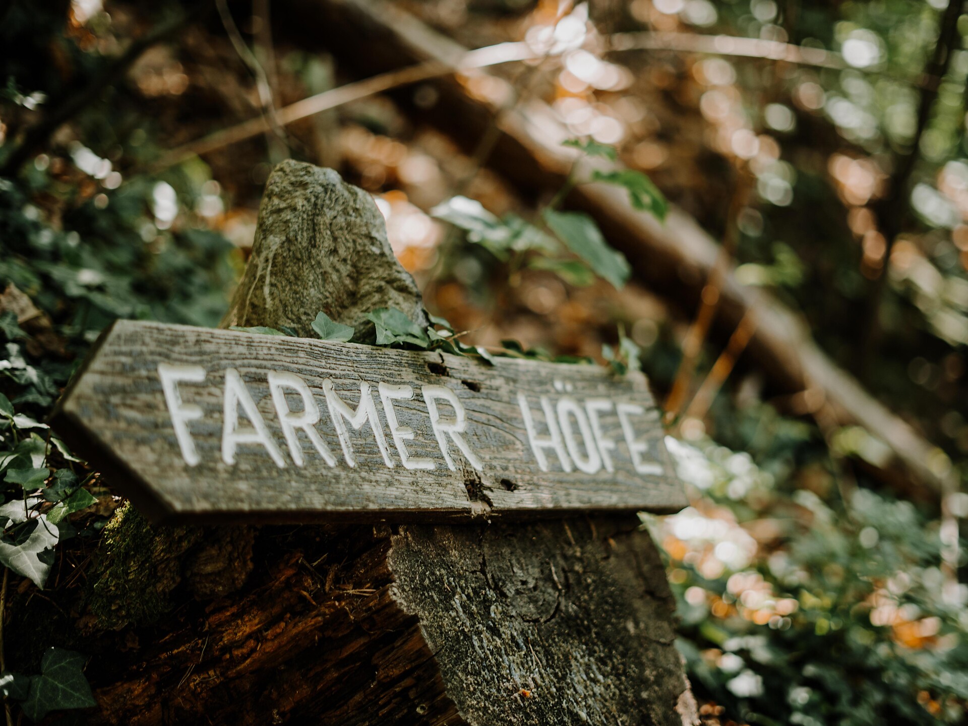 Wanderung zum Farmerkreuz Tirol 1 suedtirol.info