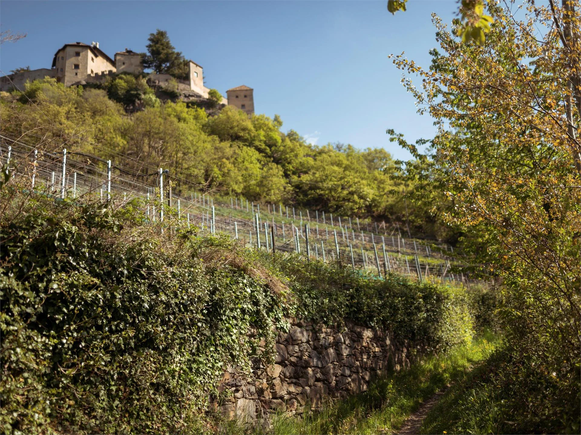 Escursione al sentiero della roggia di Senales fino al Castello Juval Castelbello-Ciardes 1 suedtirol.info