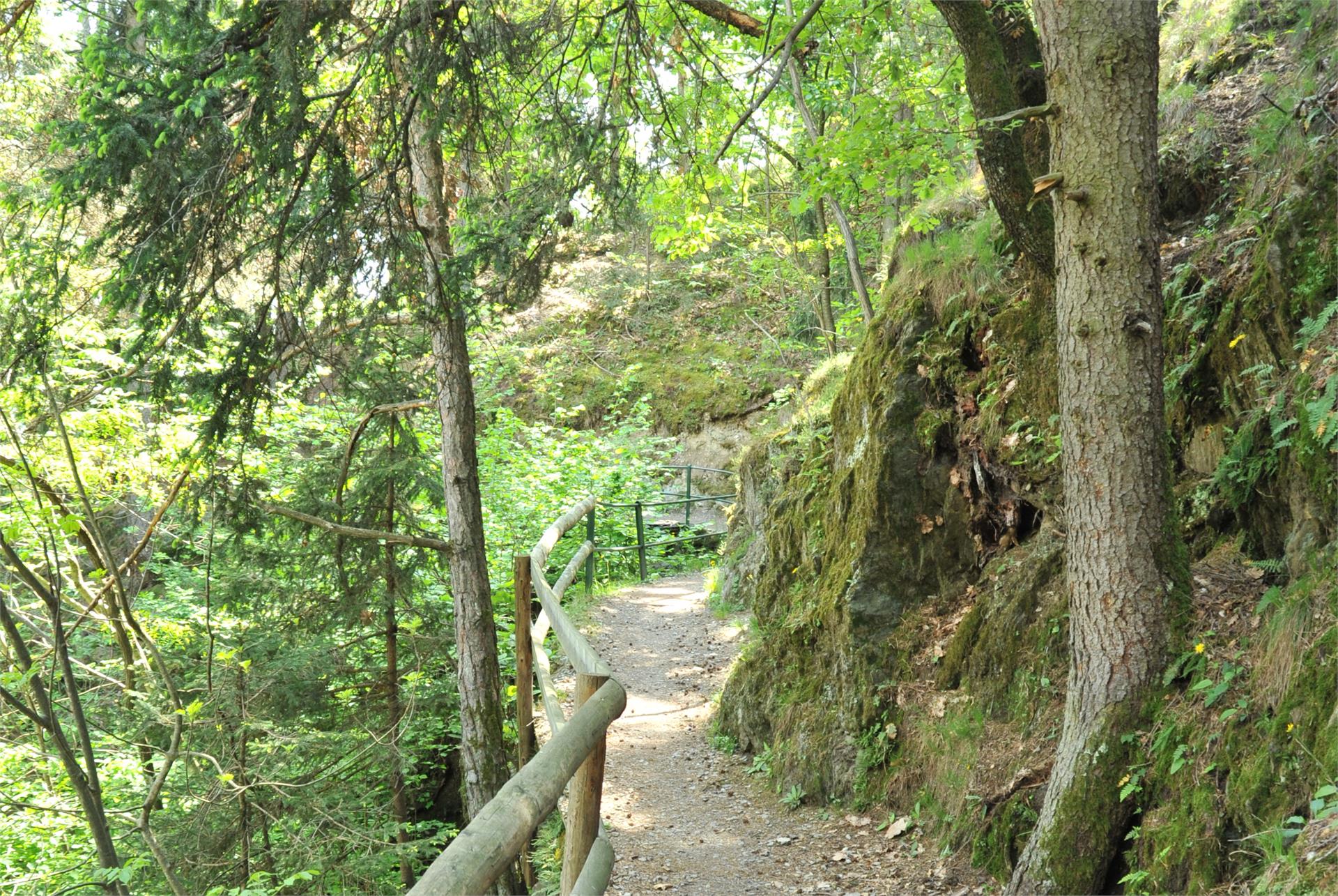Wanderung Riffianer Waalweg Riffian 1 suedtirol.info