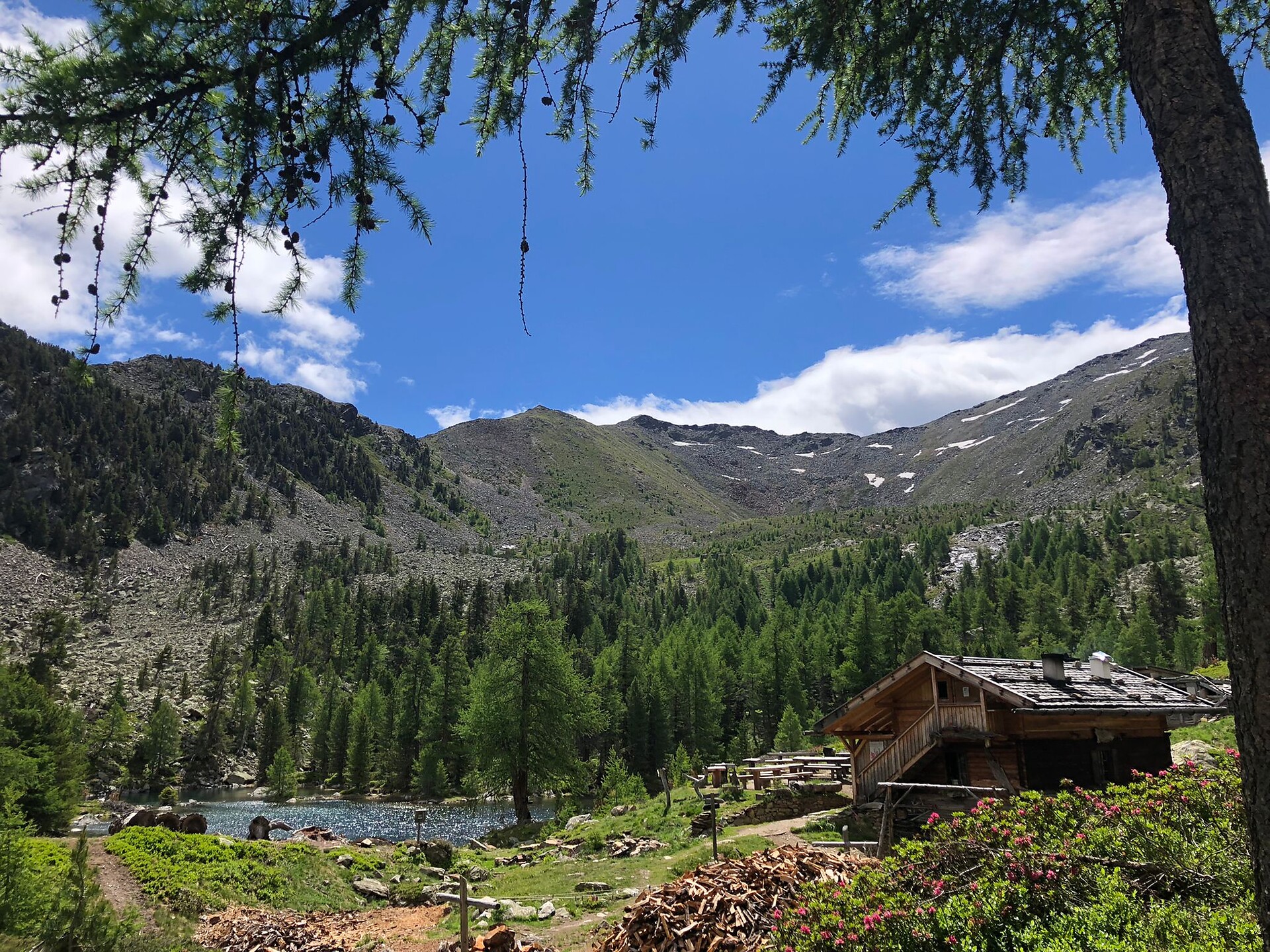 Hike to the Zirmtal Alm - Vinschgau/Val Venosta - #4 - suedtirol.info