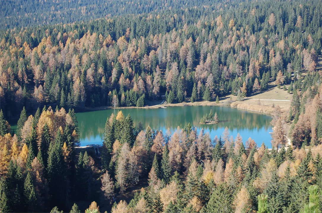 Wanderung zum Felixer Weiher