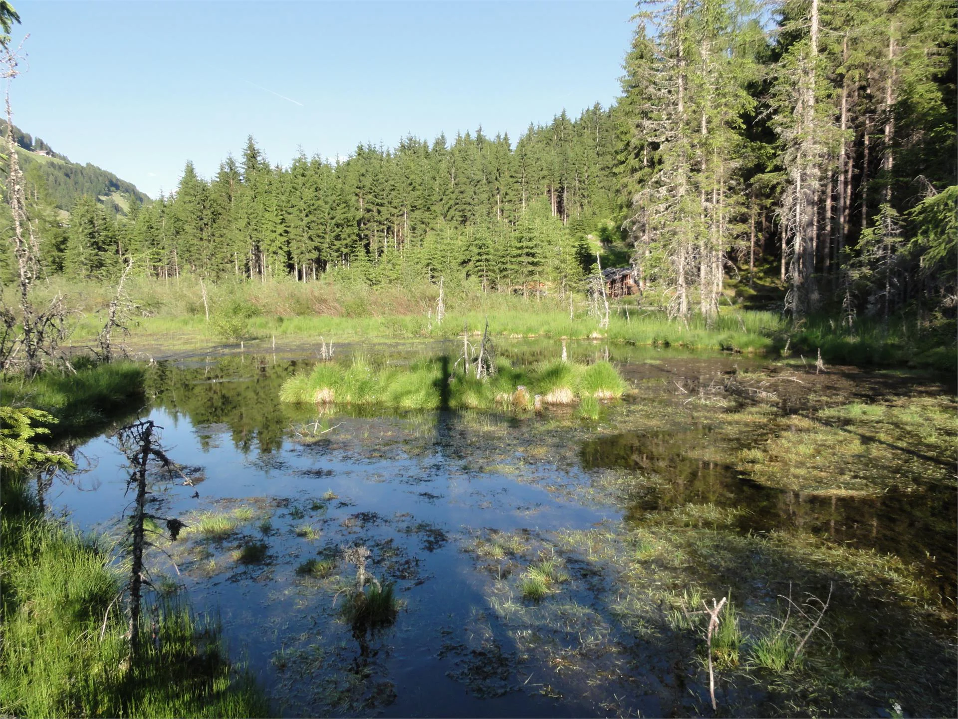 Hike on the Power of Water Trail Sand in Taufers/Campo Tures 2 suedtirol.info