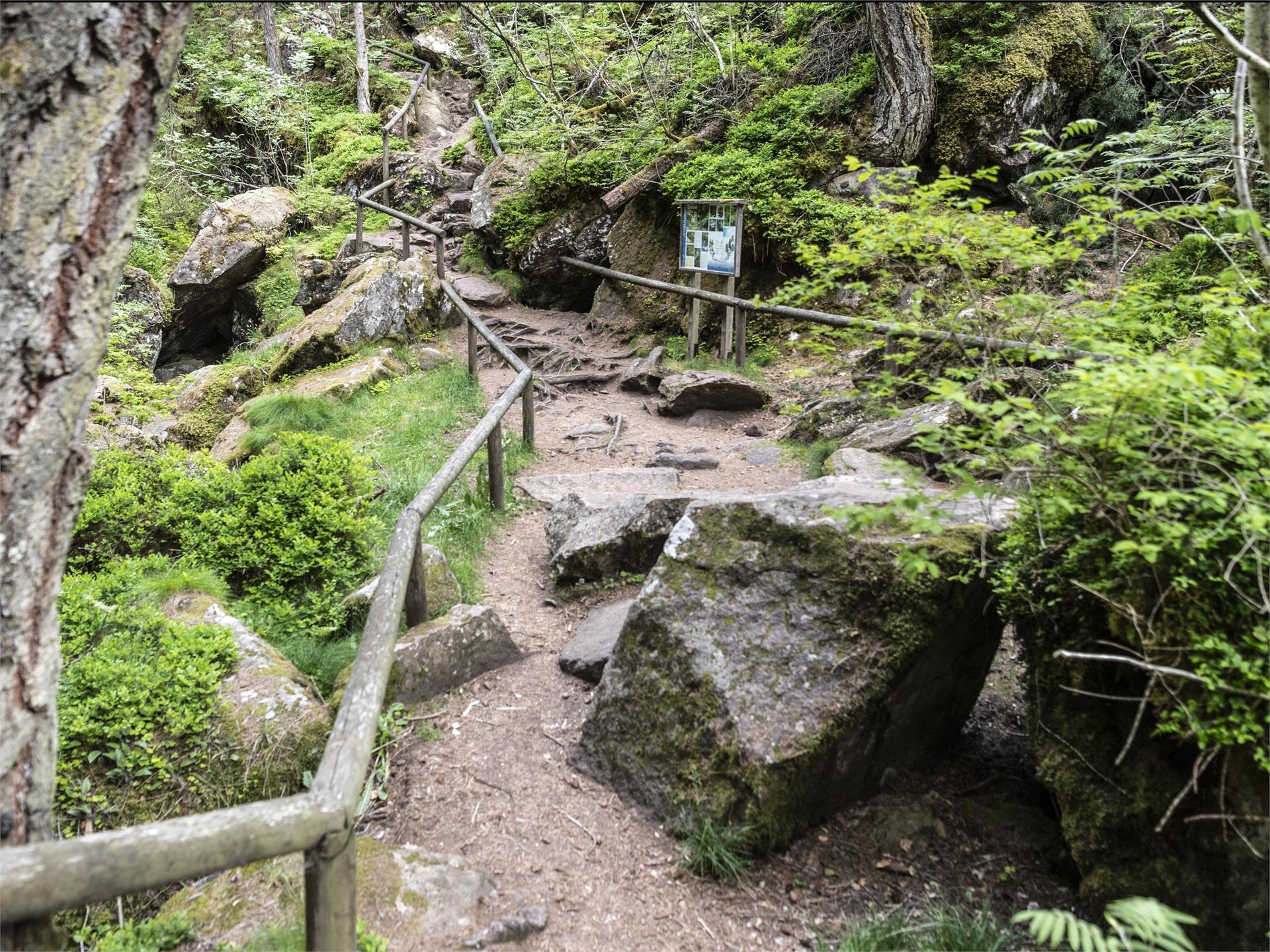 Hiking tour along the ice caves Kaltern an der Weinstraße/Caldaro sulla Strada del Vino 1 suedtirol.info