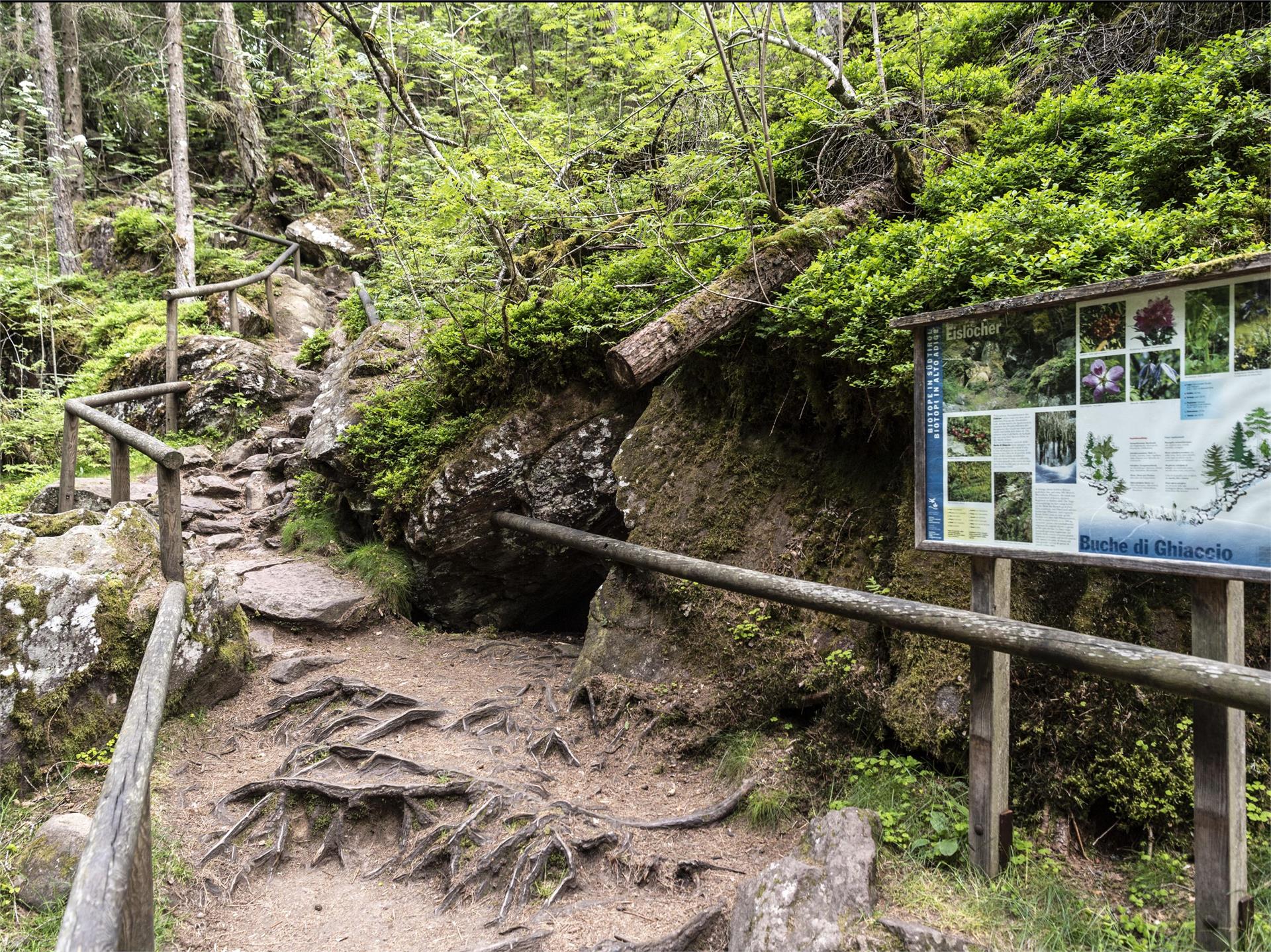 Hiking tour along the ice caves Kaltern an der Weinstraße/Caldaro sulla Strada del Vino 4 suedtirol.info