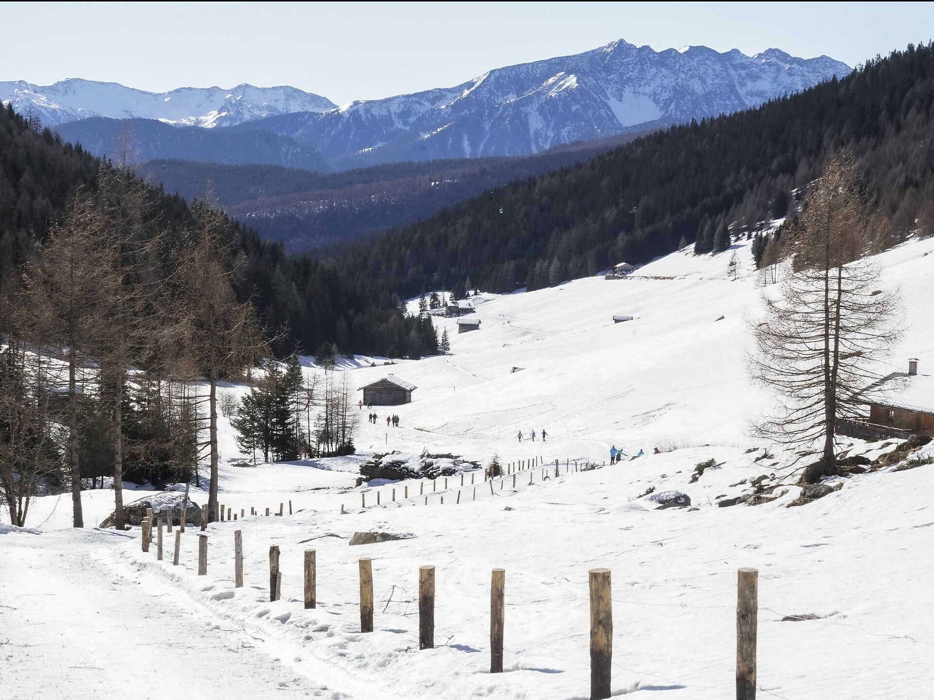 Winter
