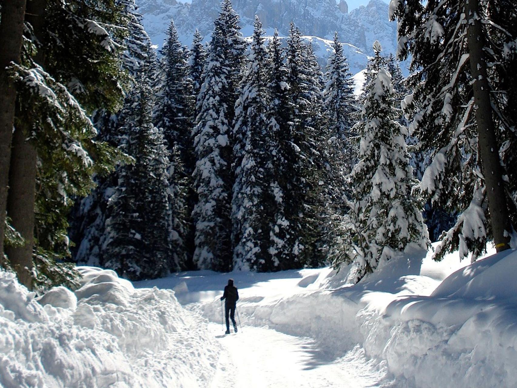 Winter hike in the Tschamin Valley Tiers am Rosengarten/Tires al Catinaccio 2 suedtirol.info
