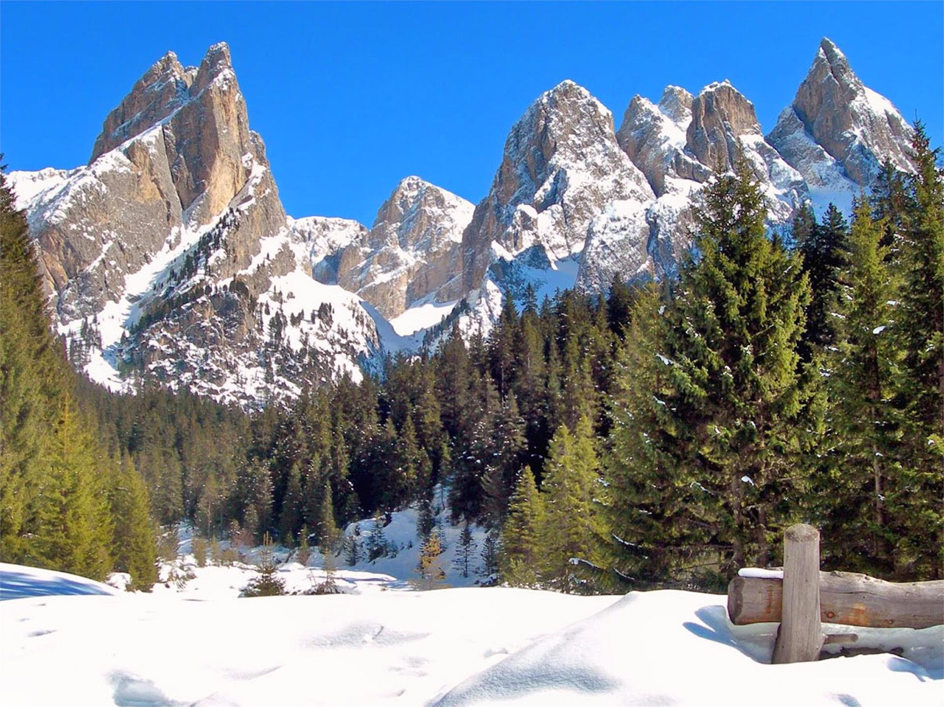 Winter hike in the Tschamin Valley Tiers am Rosengarten/Tires al Catinaccio 3 suedtirol.info