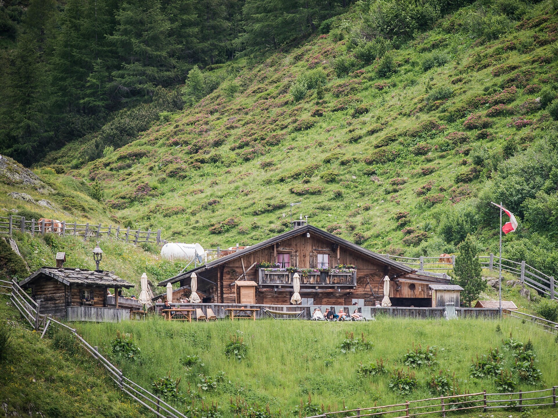 Malga Knutten Alm Rein in Taufers Riva di Tures