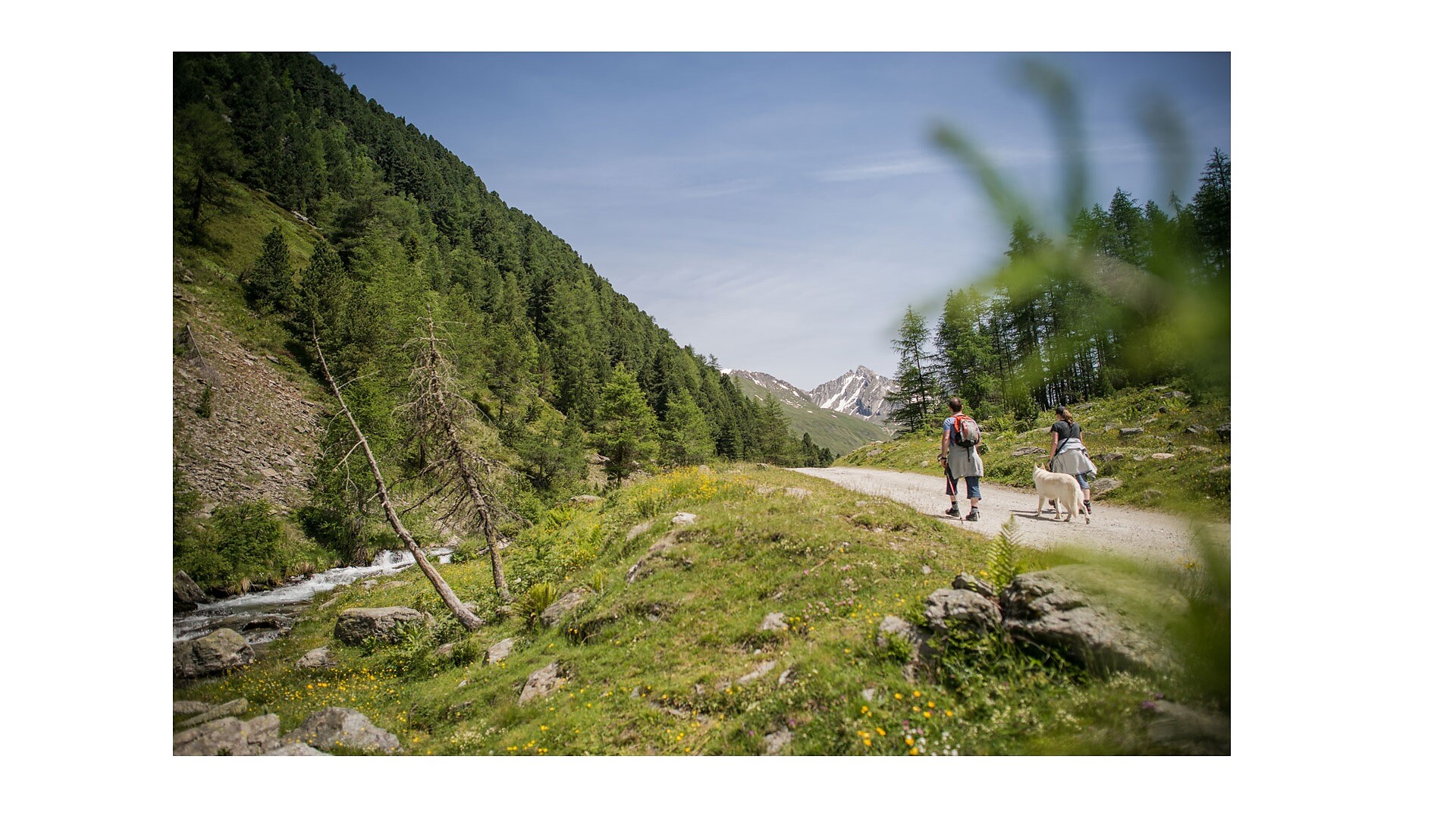 Malga Knutten Alm Rein in Taufers Riva di Tures