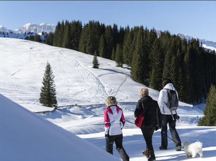 Winter hike to Mont Sëura S.Crestina Gherdëina/Santa Cristina Val Gardana 5 suedtirol.info