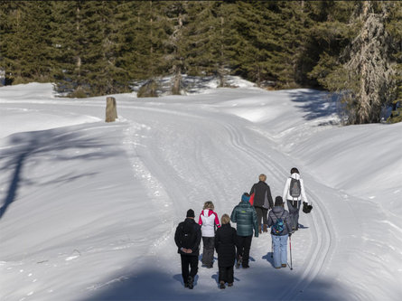 Winter hike to Mont Sëura S.Crestina Gherdëina/Santa Cristina Val Gardana 10 suedtirol.info