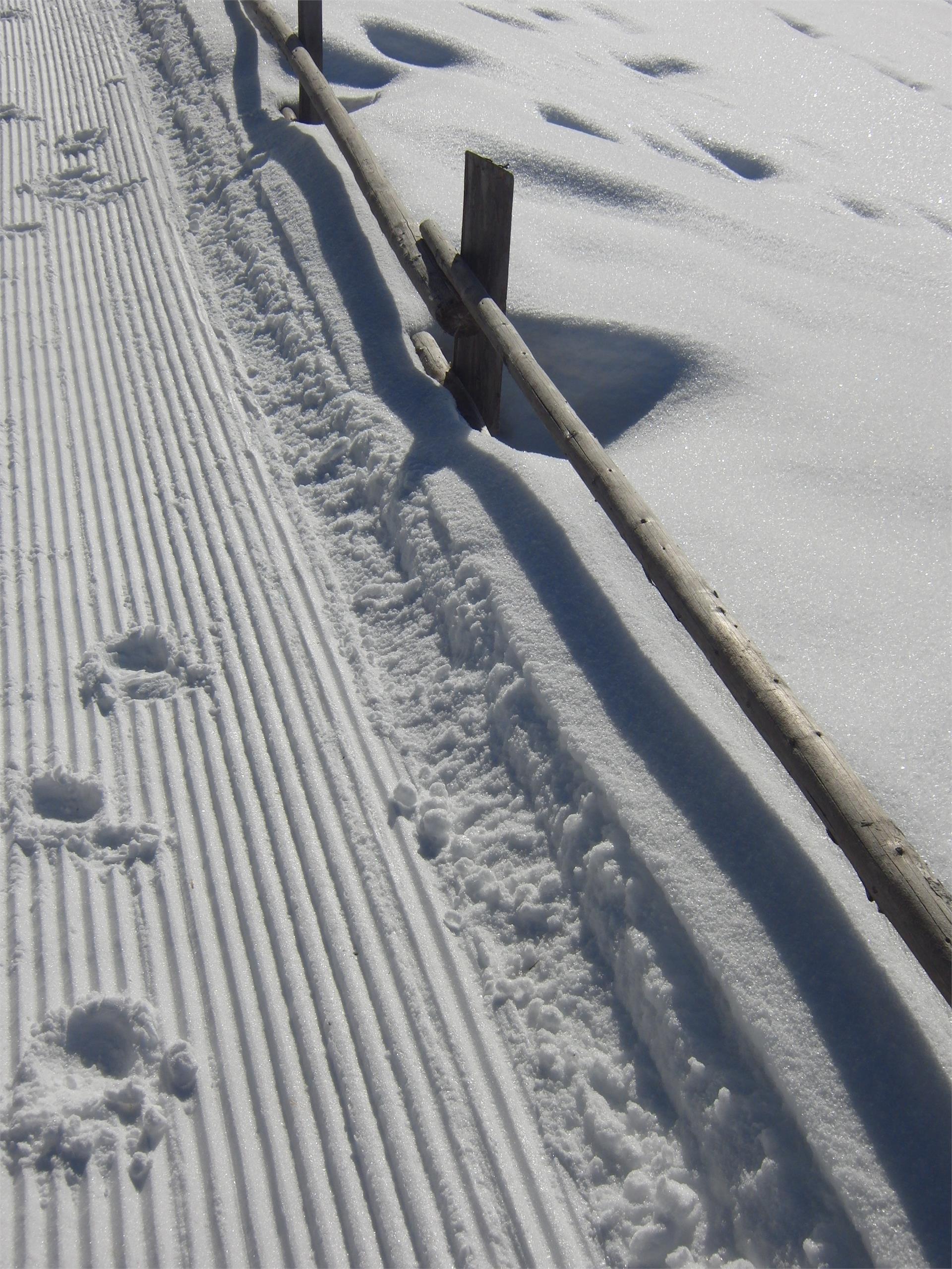 Winter hike to Medalghes Al Plan/San Vigilio 4 suedtirol.info