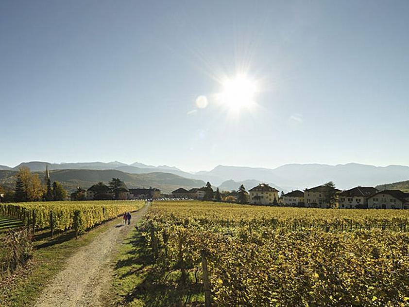 Percorso didattico sul vino di Castel Sallegg Caldaro sulla Strada del Vino 1 suedtirol.info