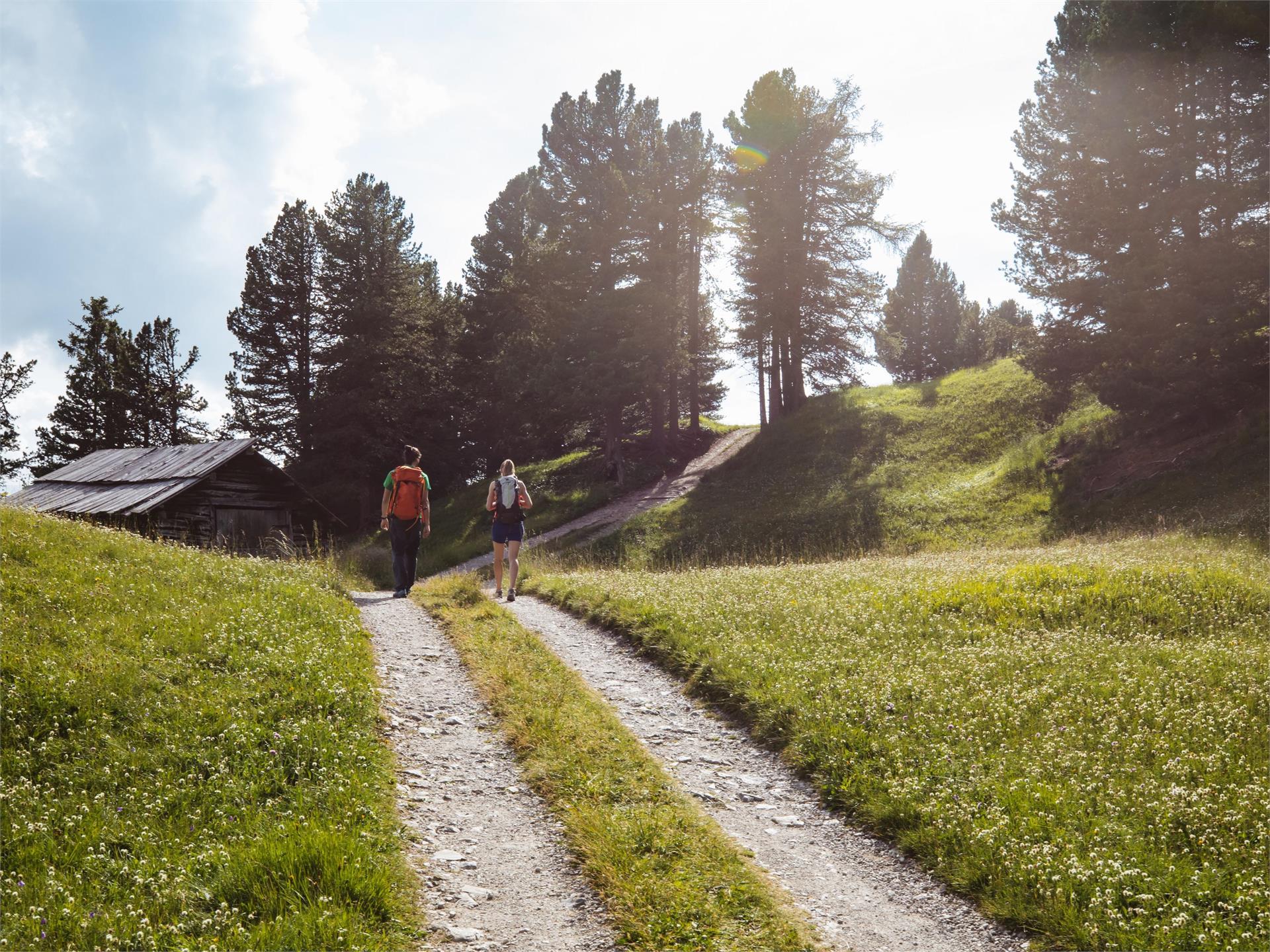 Escursione al terrazzo panoramico Sëurasas Santa Cristina Val Gardena 6 suedtirol.info